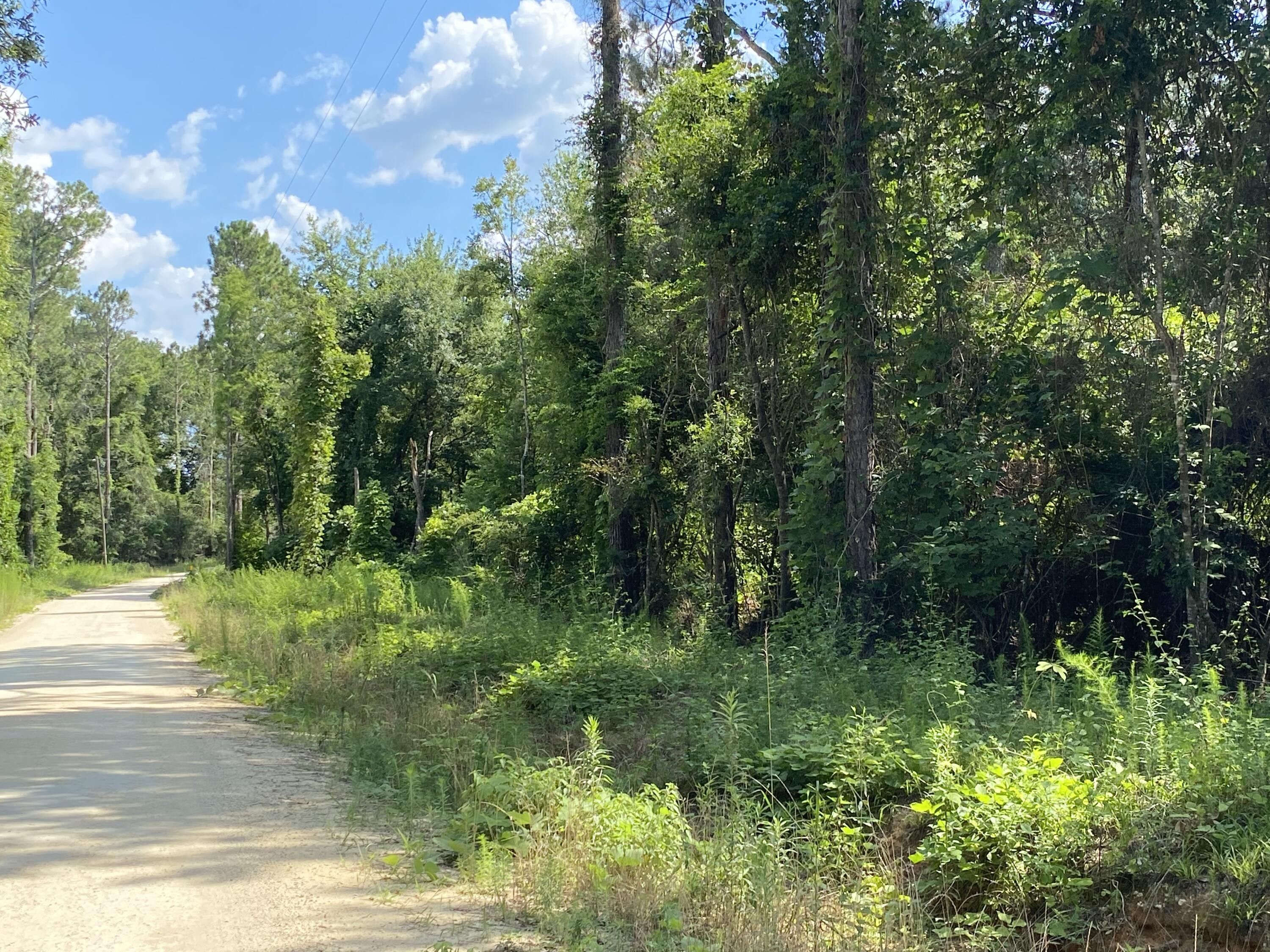 Westville, Walton County, FL Undeveloped Land for sale Property ID