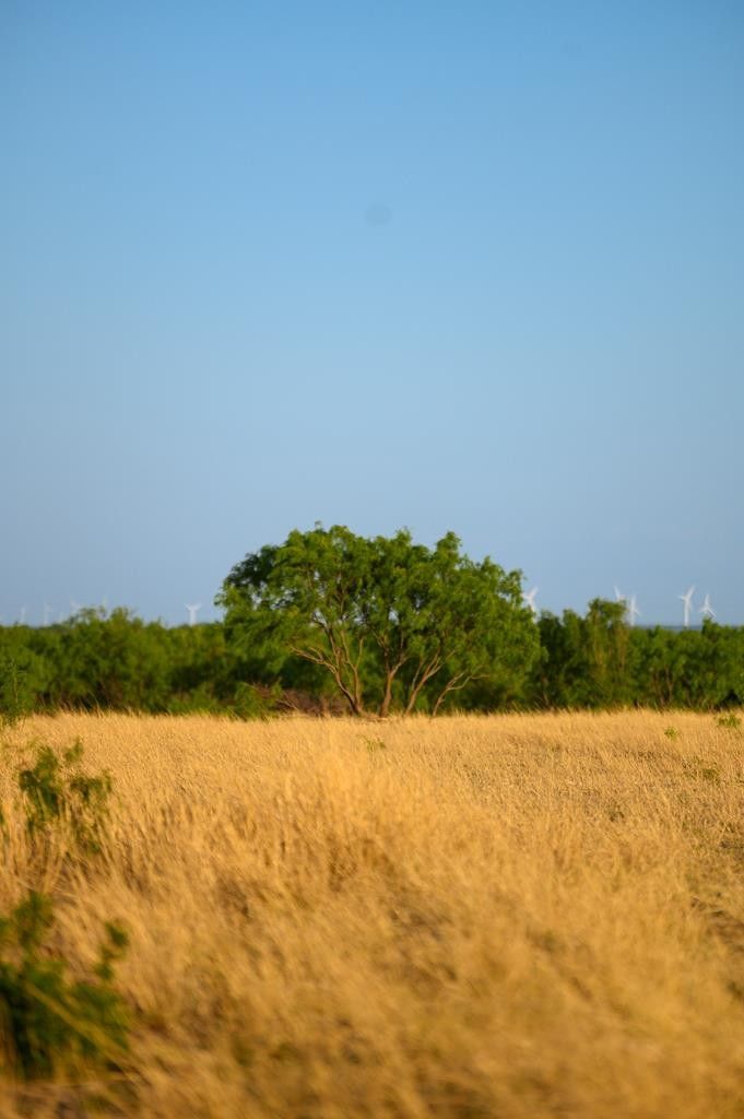 Millersview, Concho County, TX Undeveloped Land for sale Property ID