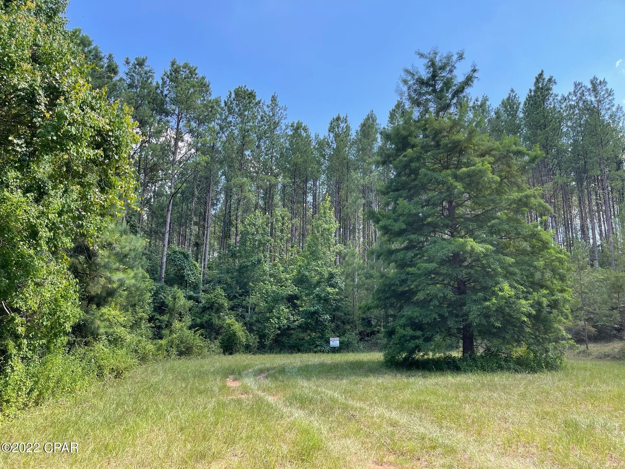 Westville, Holmes County, FL Undeveloped Land for sale Property ID