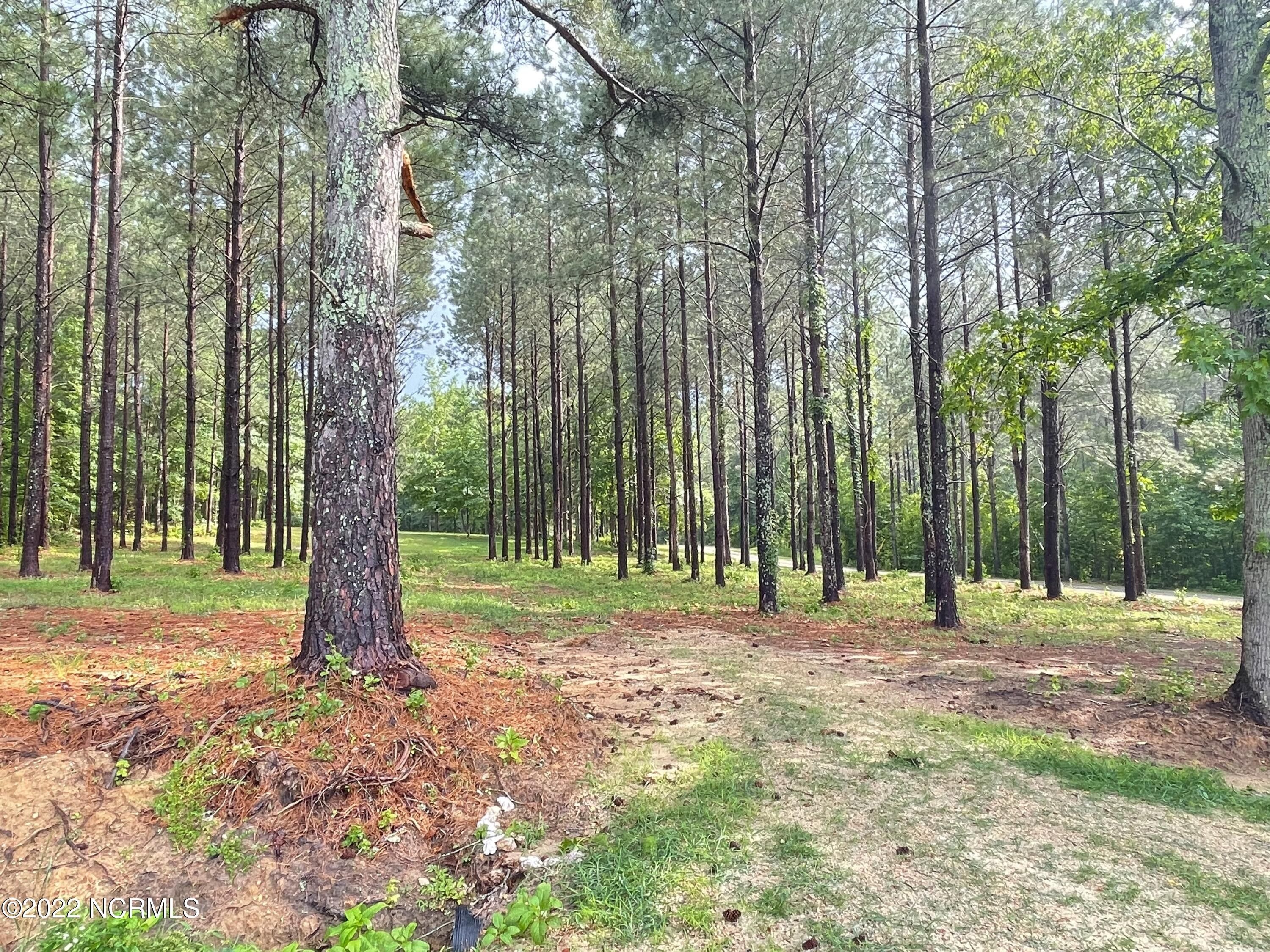 Eagle Springs, Moore County, NC Undeveloped Land, Homesites for sale