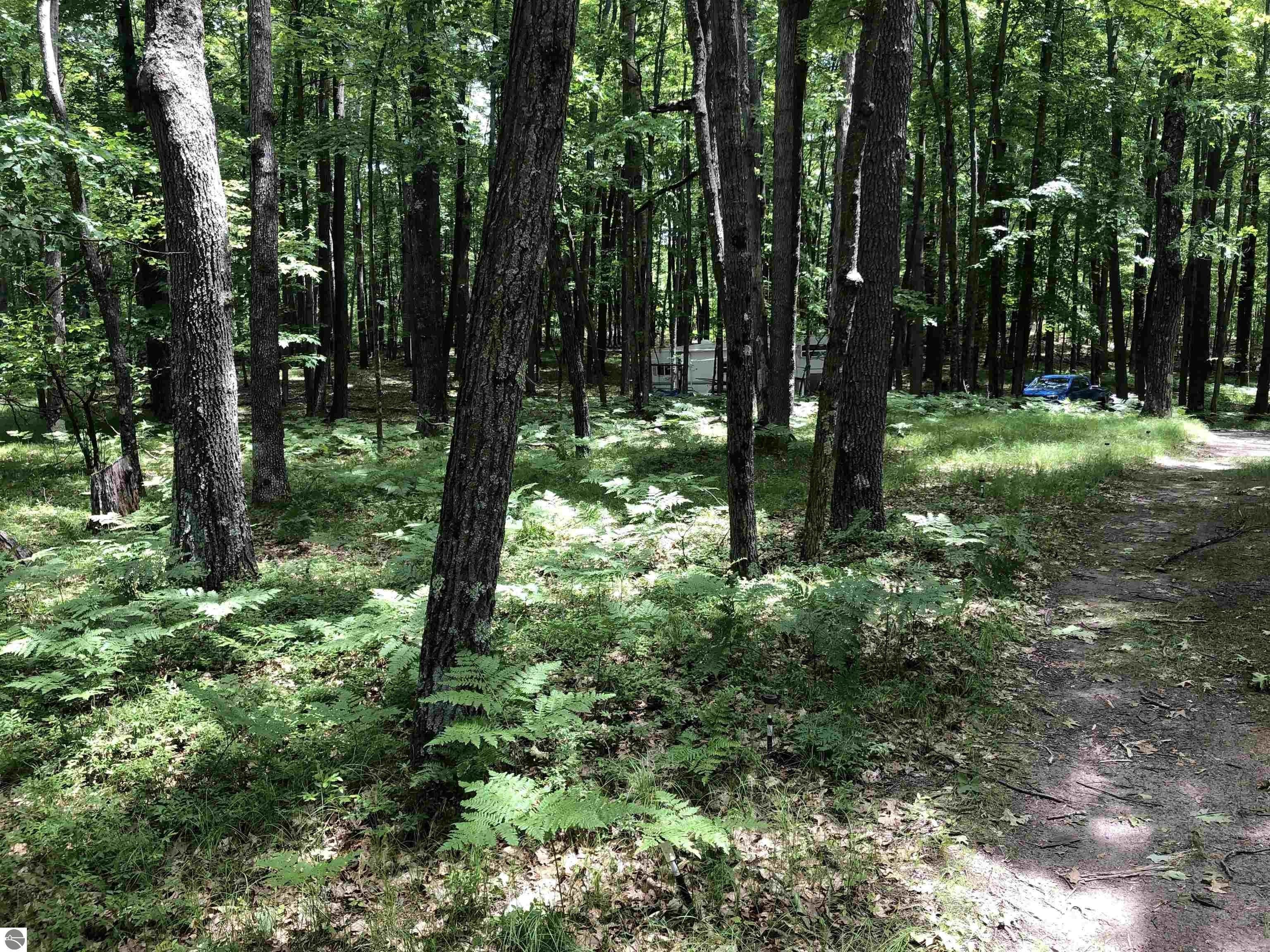 Farwell, Clare County, MI Undeveloped Land, Lakefront Property