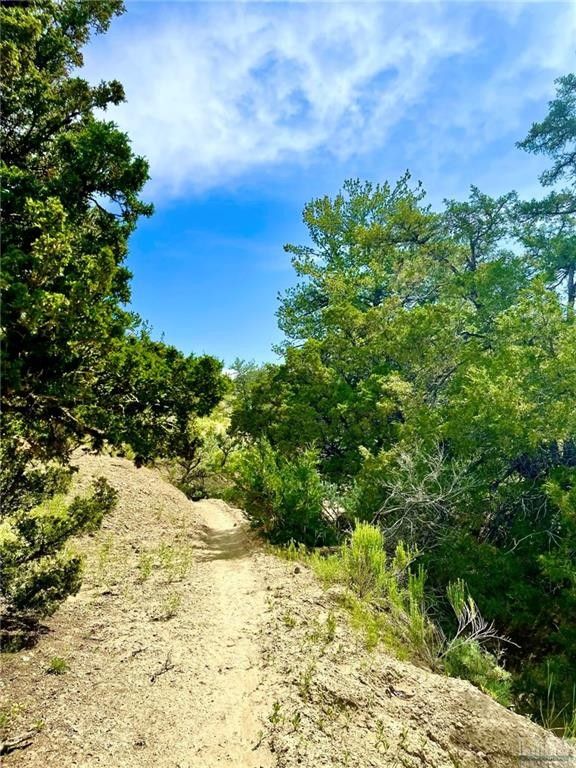 Bridger, Carbon County, MT Undeveloped Land for sale Property ID