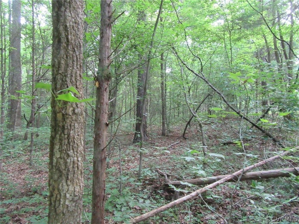 Dinwiddie, Dinwiddie County, VA Farms and Ranches for sale Property ID