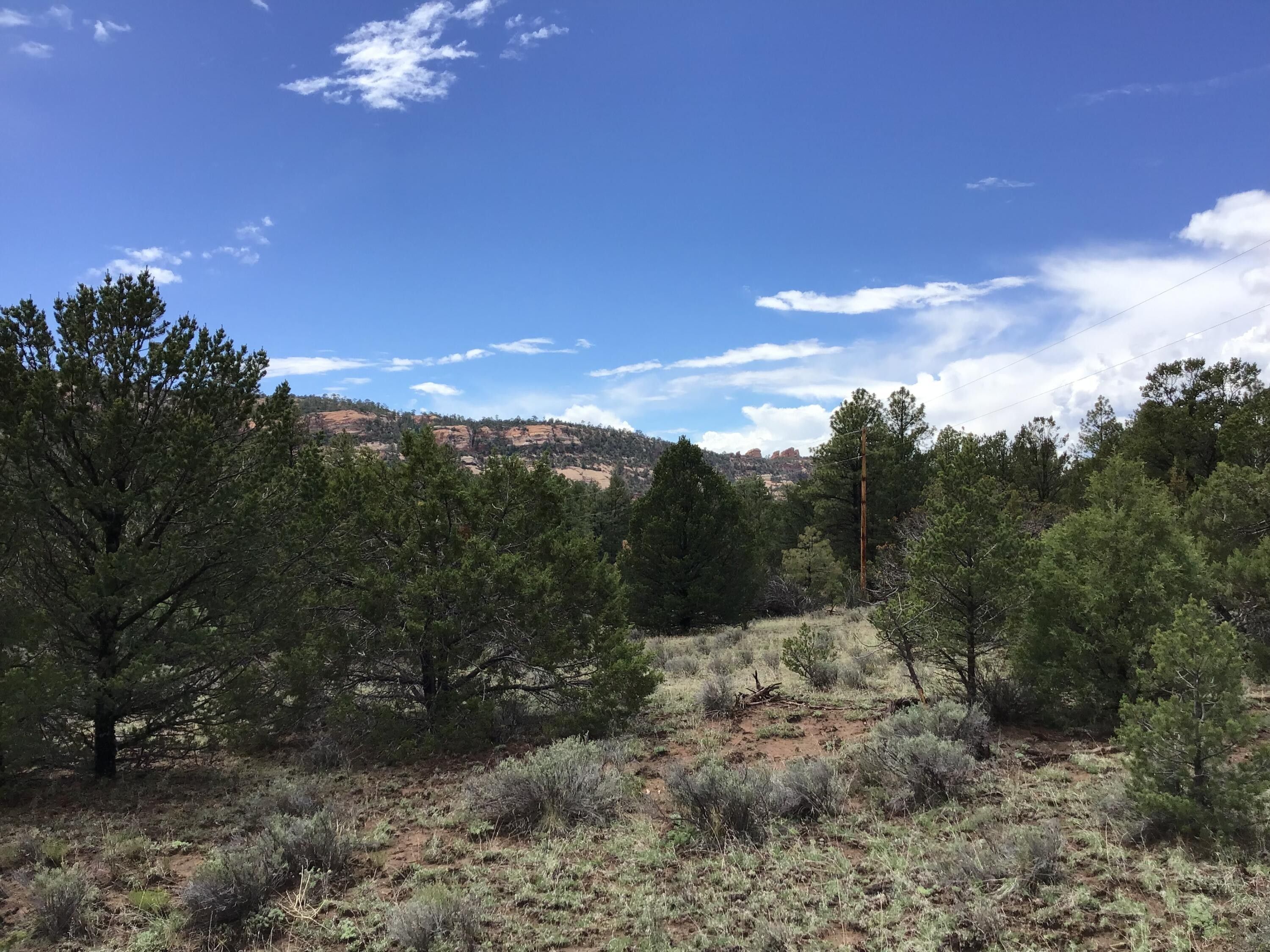 Ramah, McKinley County, NM Undeveloped Land for sale Property ID 414061733 LandWatch
