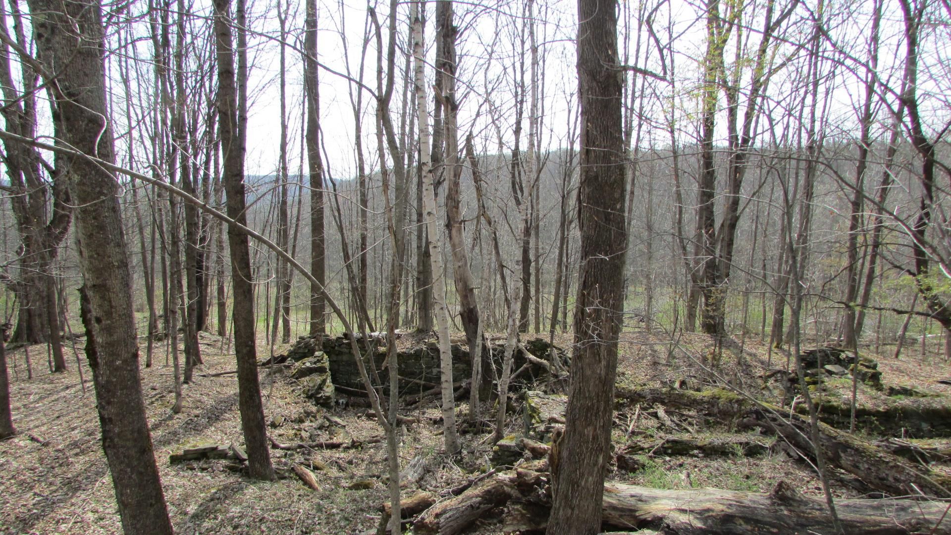 Jefferson, Schoharie County, NY Recreational Property, Undeveloped Land