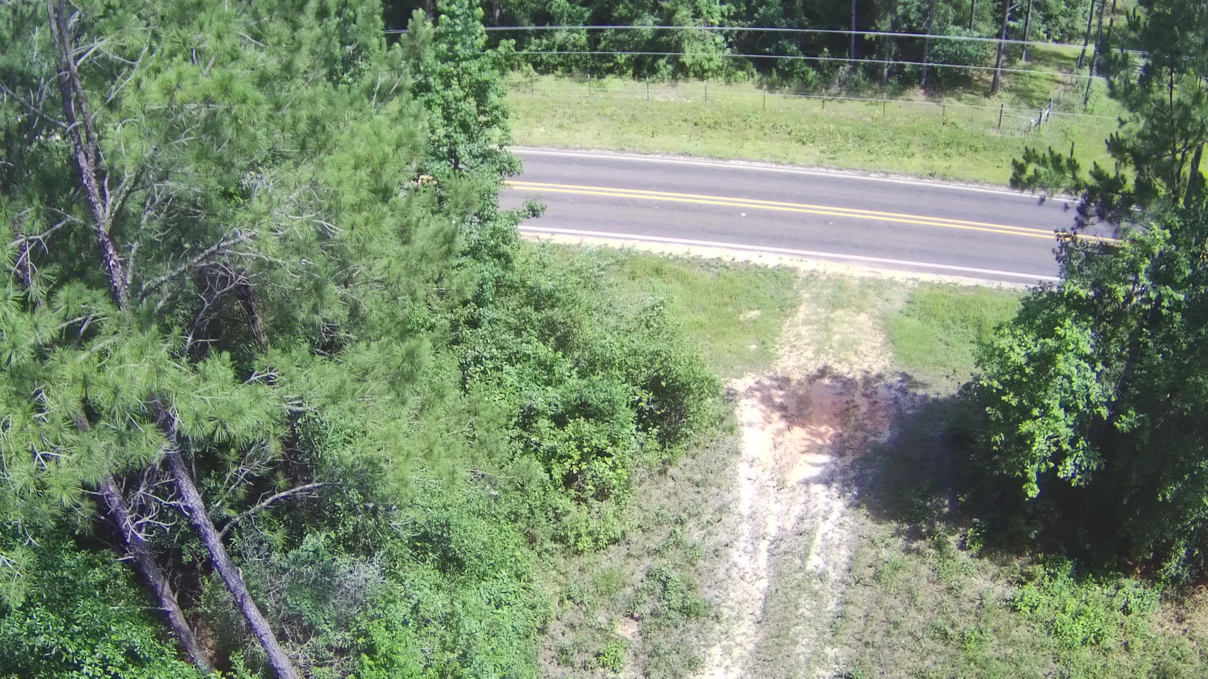 Livingston, Polk County, TX Farms and Ranches, Undeveloped Land for