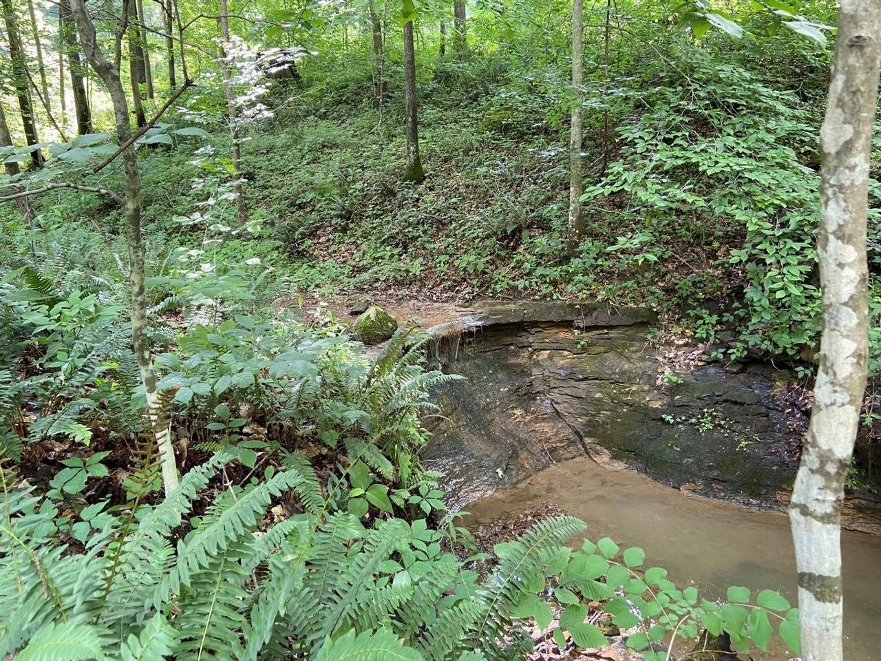 Huron, Lawrence County, IN Recreational Property, Timberland Property