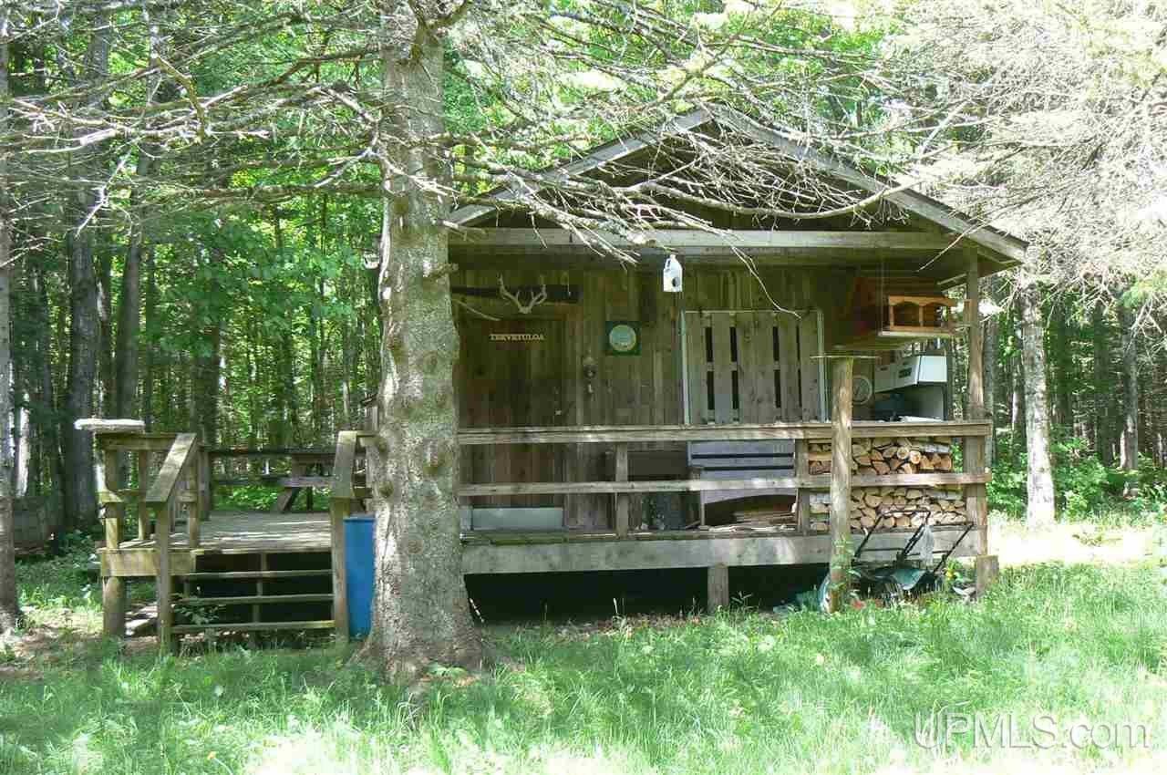 Trenary, Alger County, MI House for sale Property ID 414064161 LandWatch