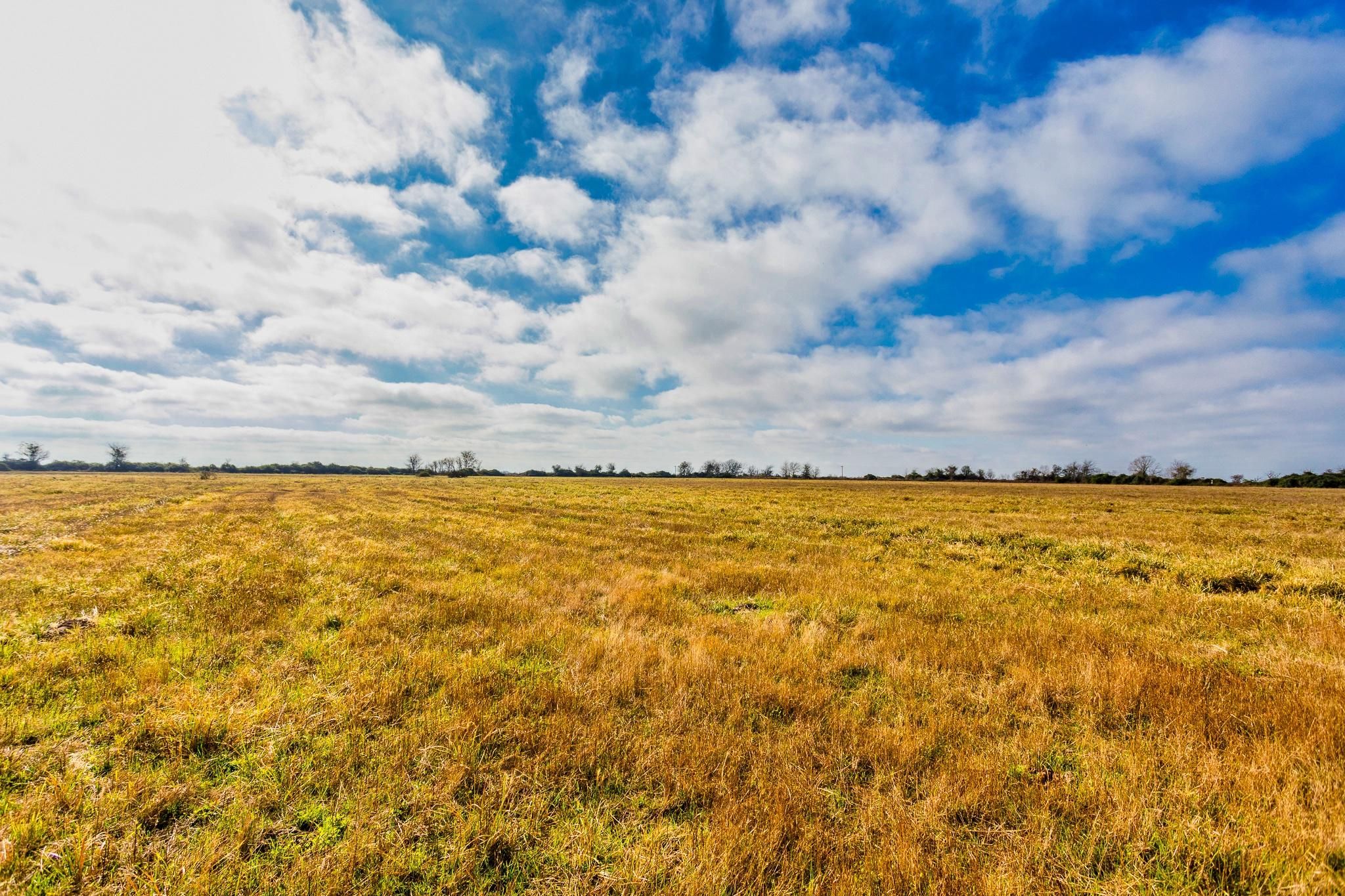 Eagle Lake, Colorado County, TX Farms and Ranches, Recreational