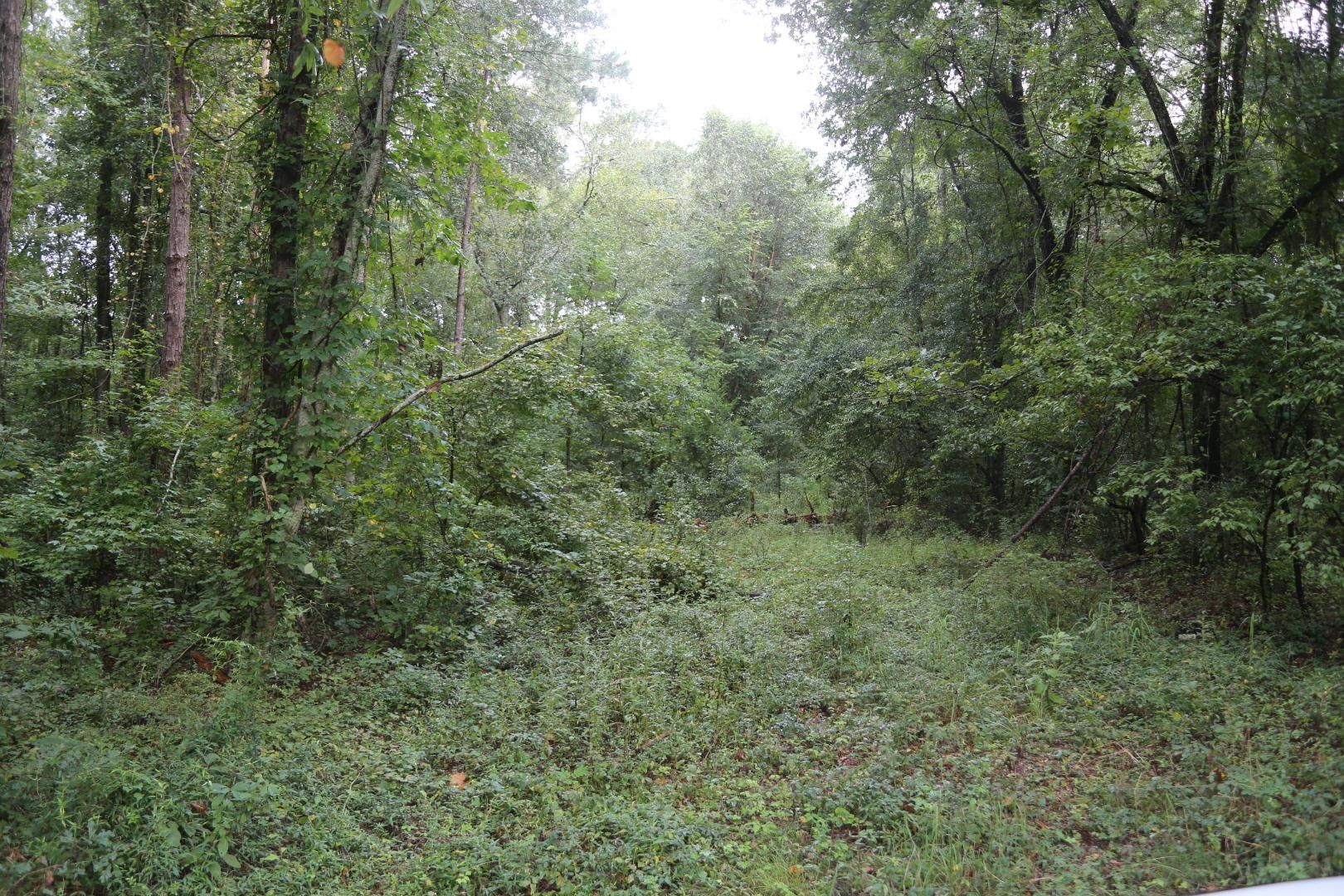 235 Burlingame Road, Letohatchee, AL 36047 LandWatch