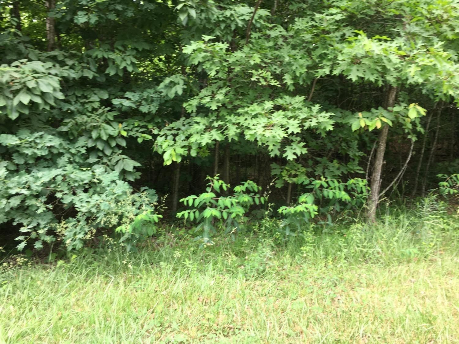 Monroe, Amherst County, VA Undeveloped Land, Homesites for sale