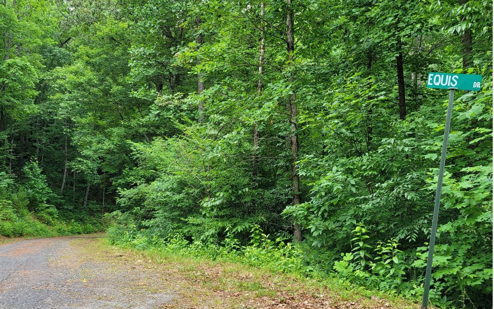 Hiawassee, Towns County, GA Undeveloped Land, Homesites for sale