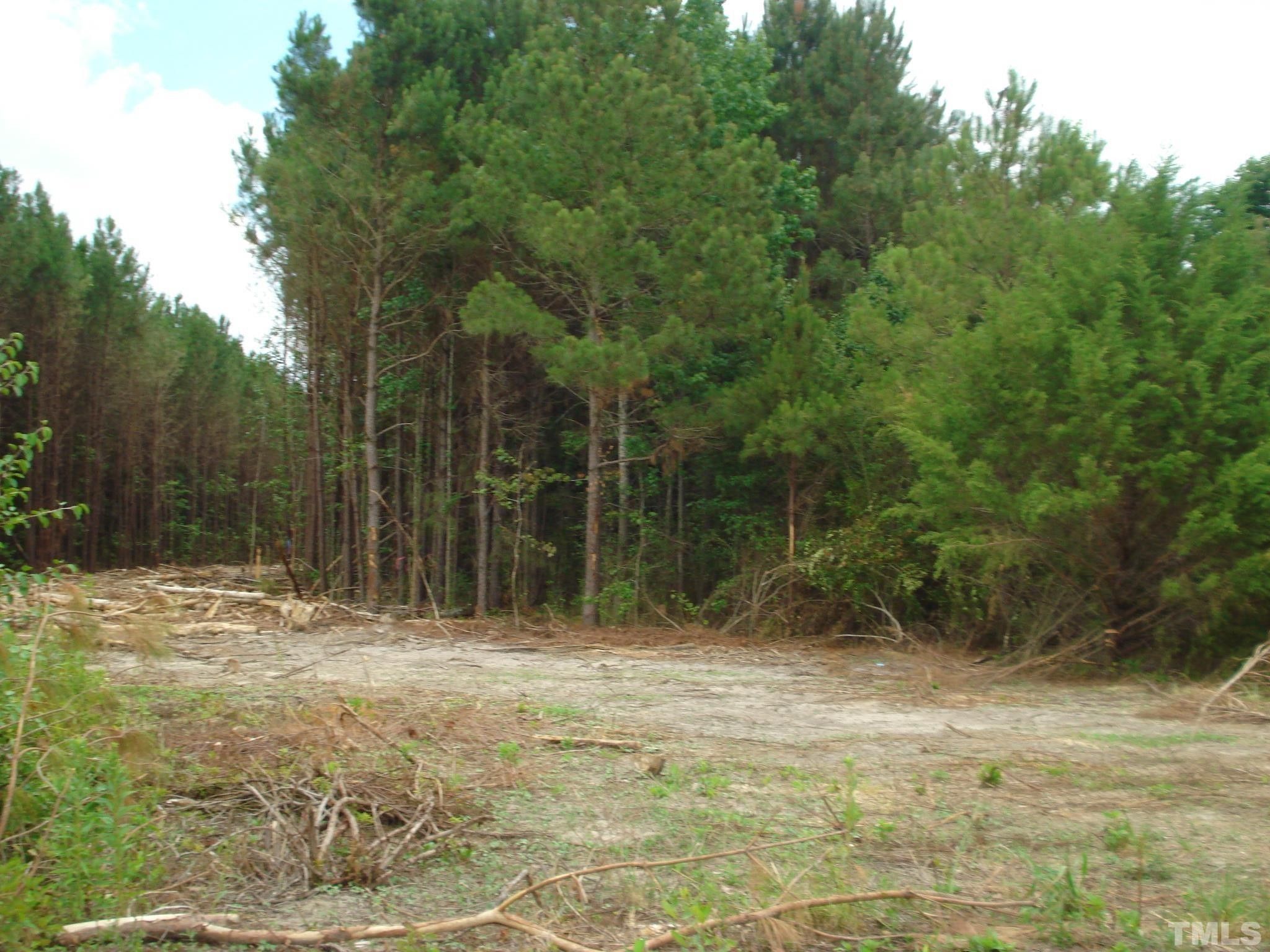 Wade, Cumberland County, NC Undeveloped Land for sale Property ID 413093802 LandWatch