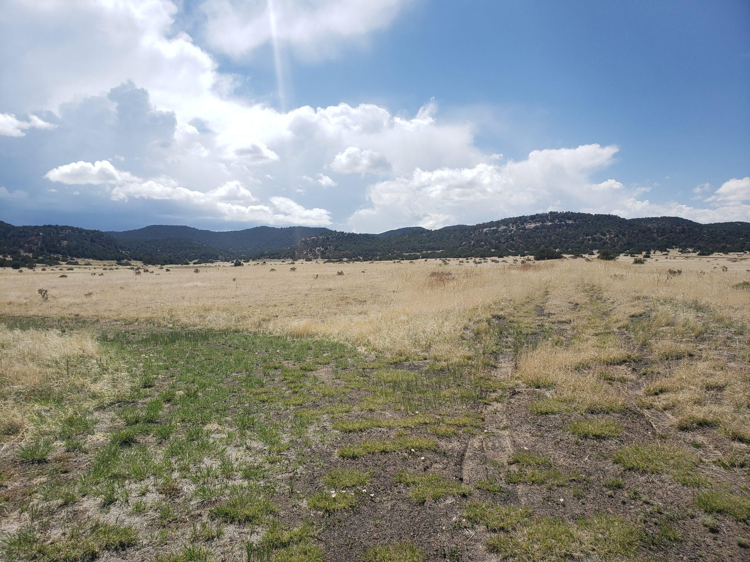 Aguilar, Las Animas County, CO Farms and Ranches, Recreational Property