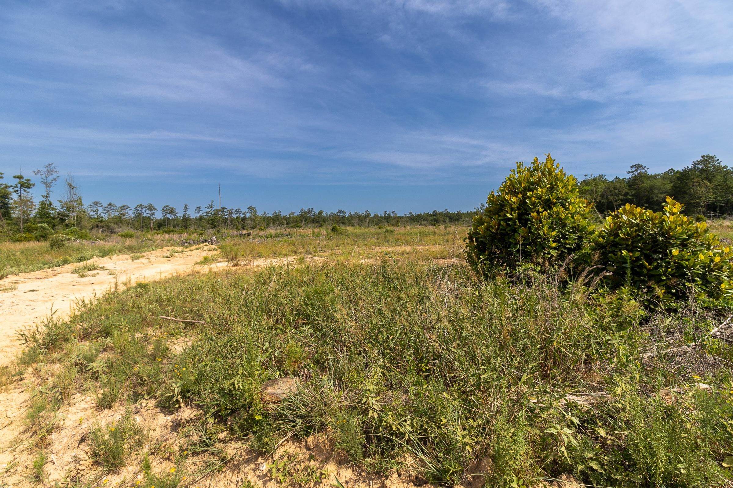 Woodville, Tyler County, TX Recreational Property, Undeveloped Land