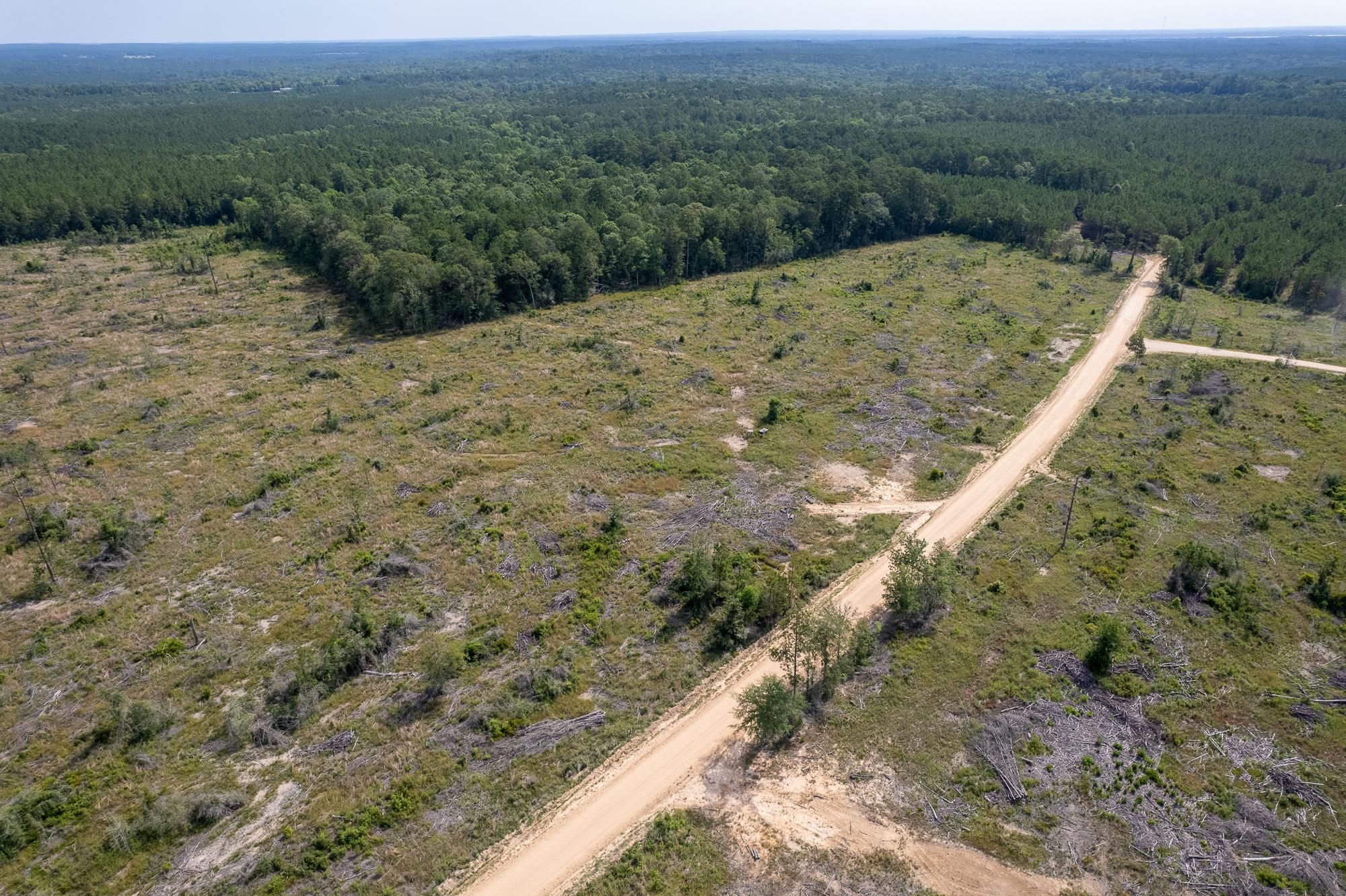 TBD County Road 4210, Woodville, TX 75979 LandWatch