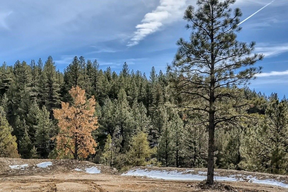 Pecos, San Miguel County, NM Undeveloped Land, Lakefront Property