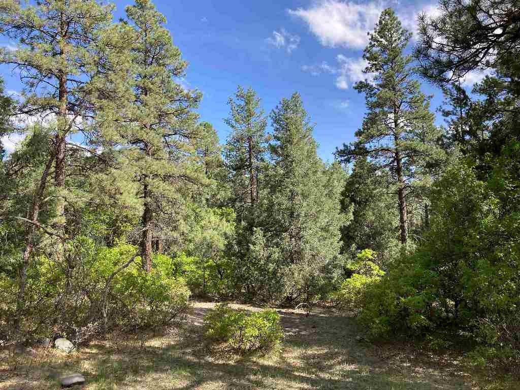Chama, Rio Arriba County, NM Farms and Ranches, Homesites for sale