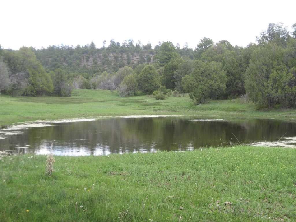 Canjilon, Rio Arriba County, NM for sale Property ID 323260129 LandWatch