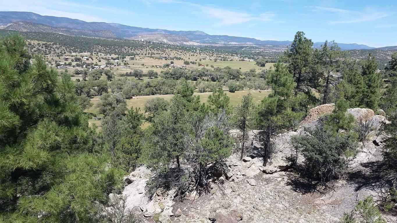 Reserve, Catron County, NM Undeveloped Land, Lakefront Property