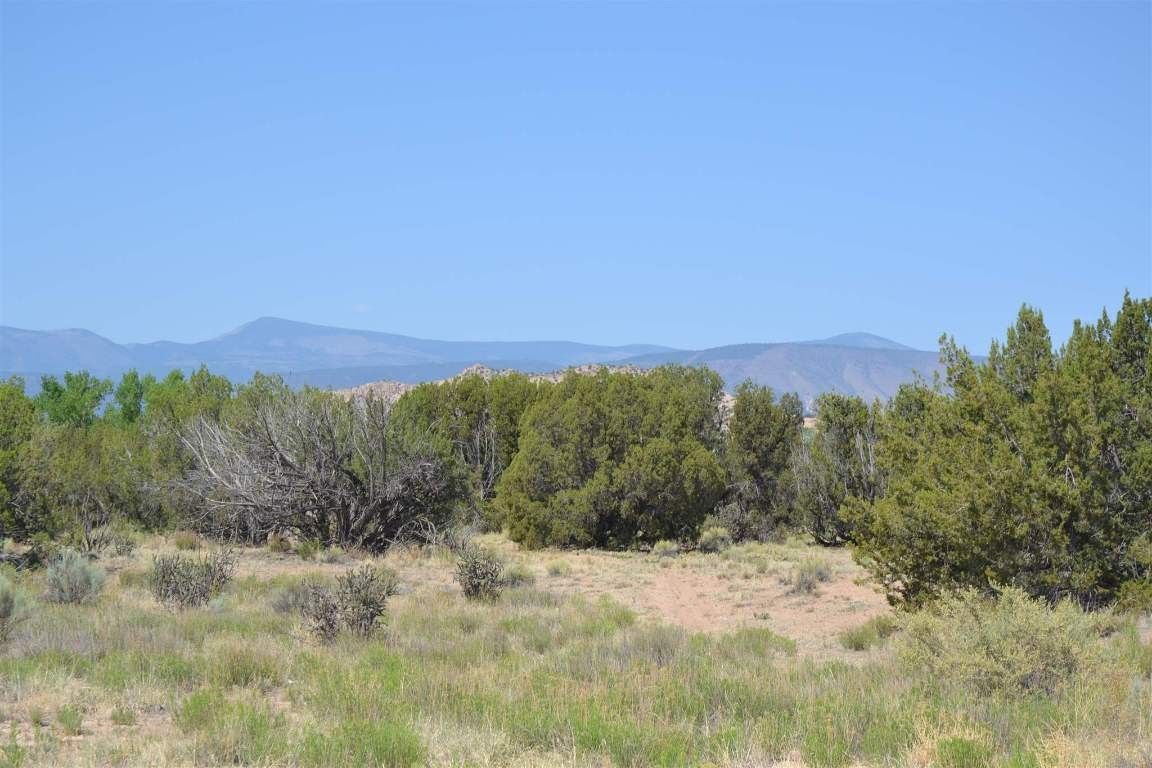 Ojo Caliente, Rio Arriba County, NM Farms and Ranches, Homesites for