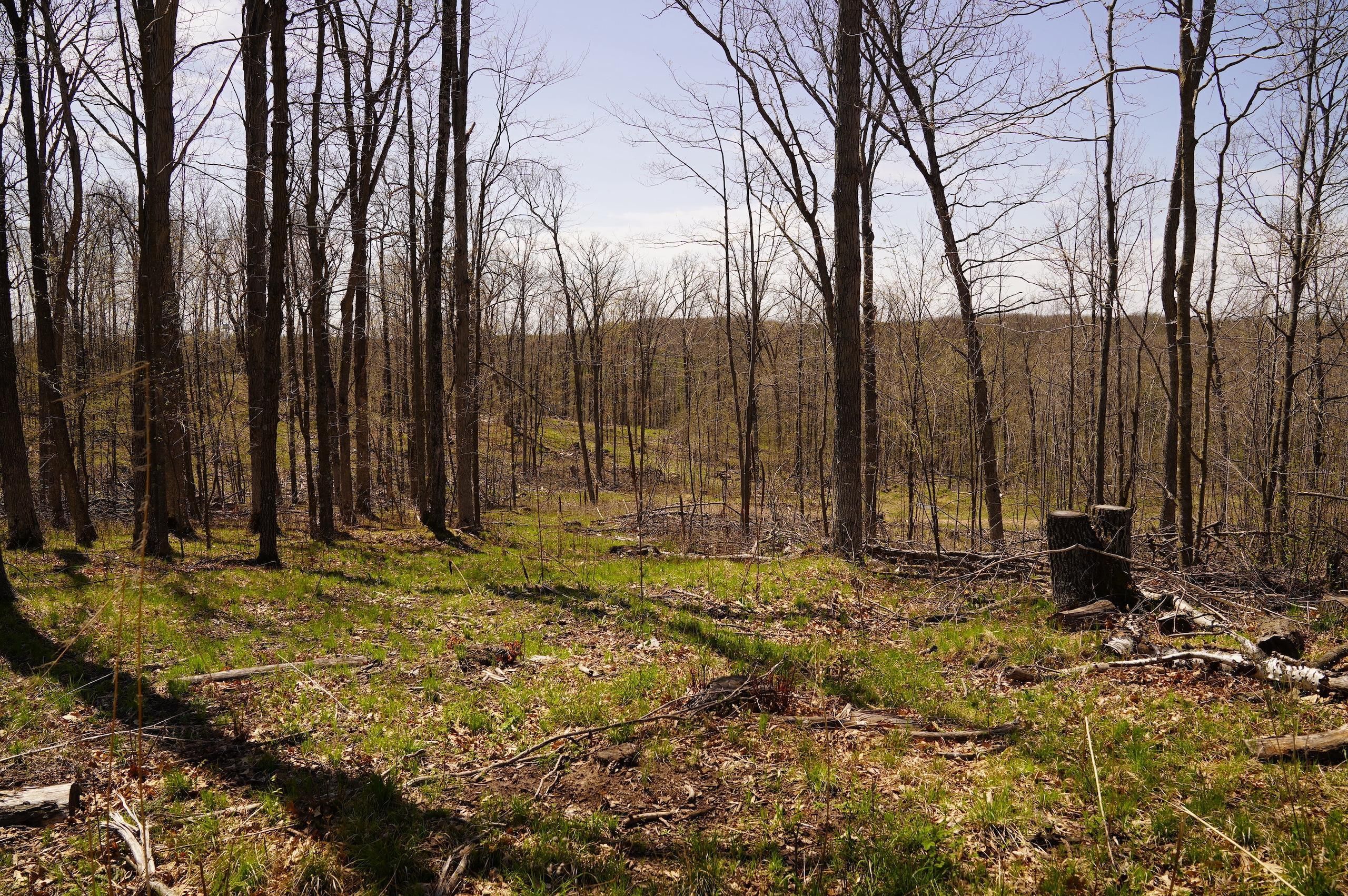 Shell Lake, Washburn County, WI Recreational Property, Hunting Property