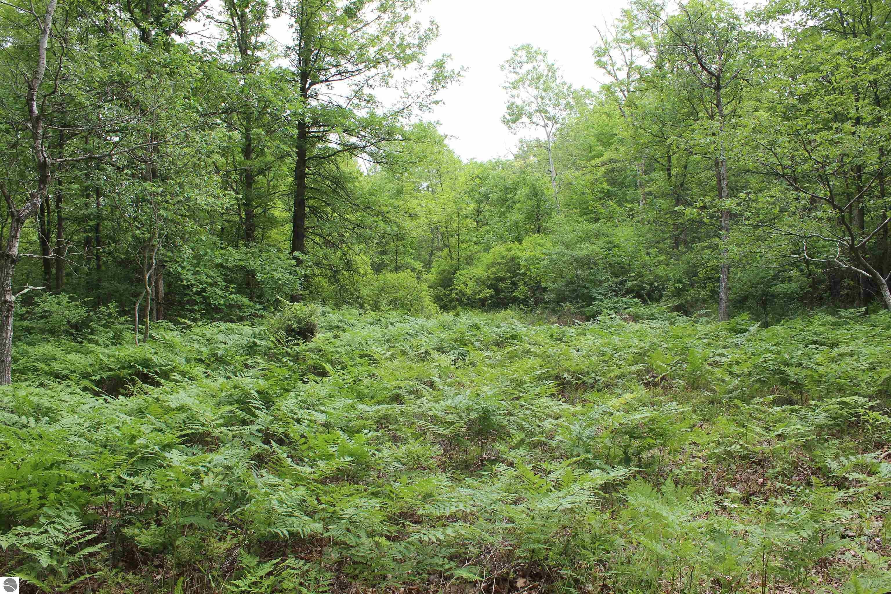 Midland, Midland County, MI Undeveloped Land, Lakefront Property