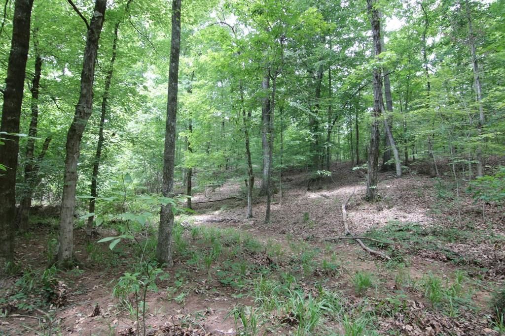 Junction City, Talbot County, GA Undeveloped Land for sale Property ID