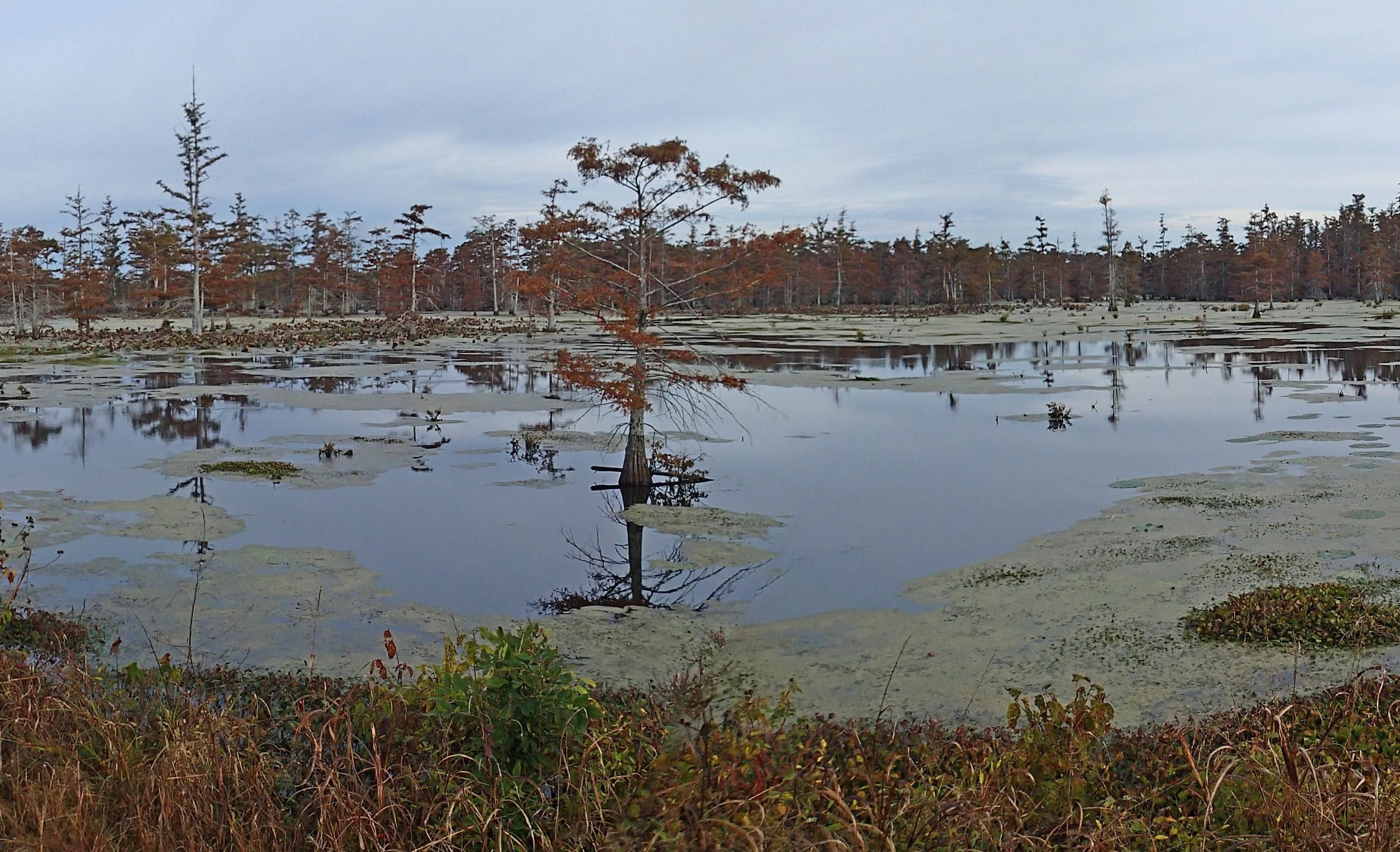 1,531 acres in Bobo, MS, 38614 LandWatch