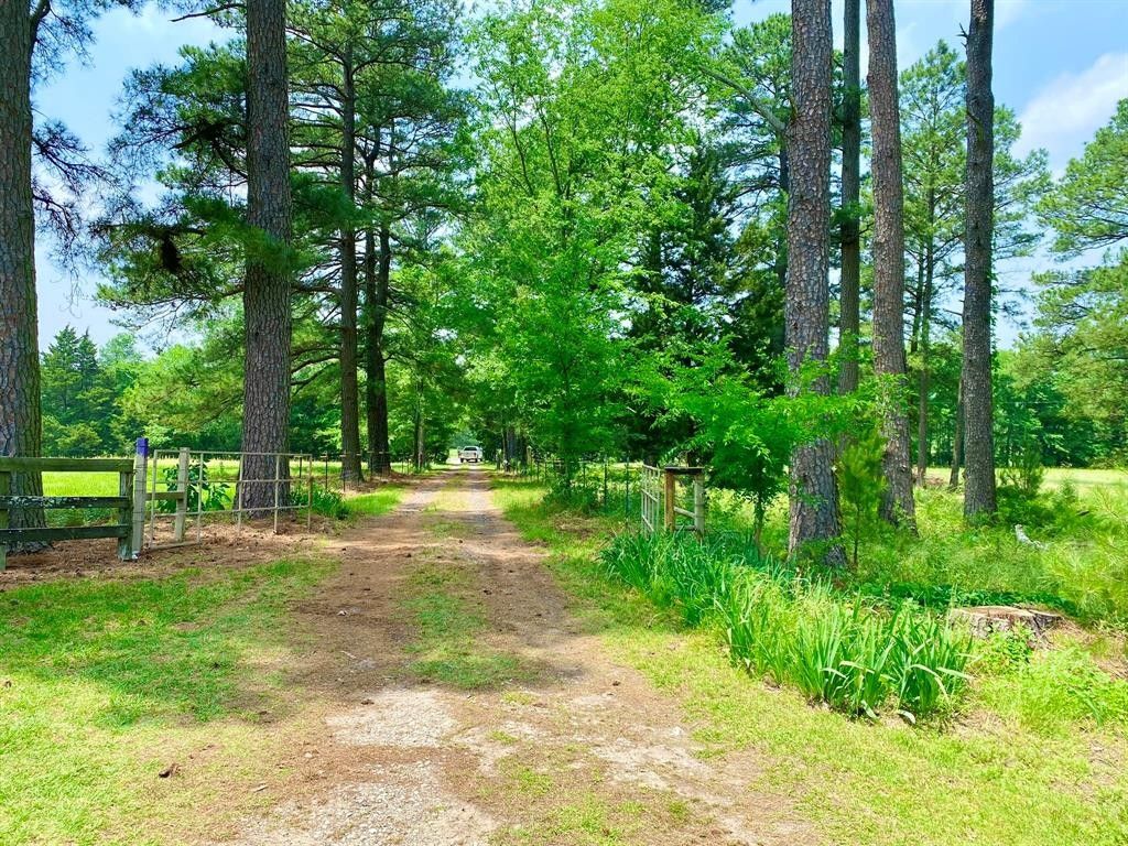 Avery, Red River County, TX House for sale Property ID 414078318