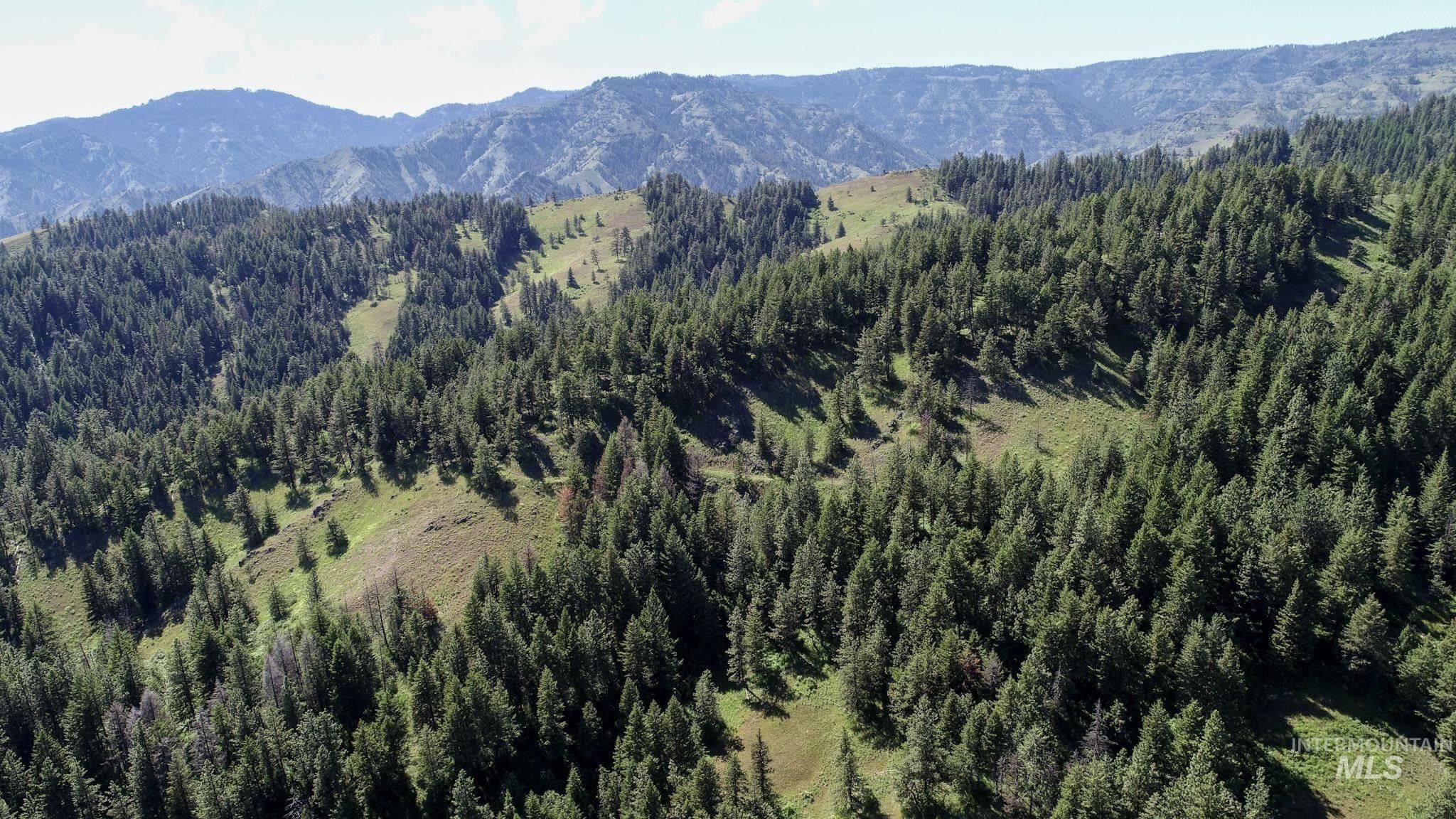 Anatone, Asotin County, WA Undeveloped Land, Homesites for sale