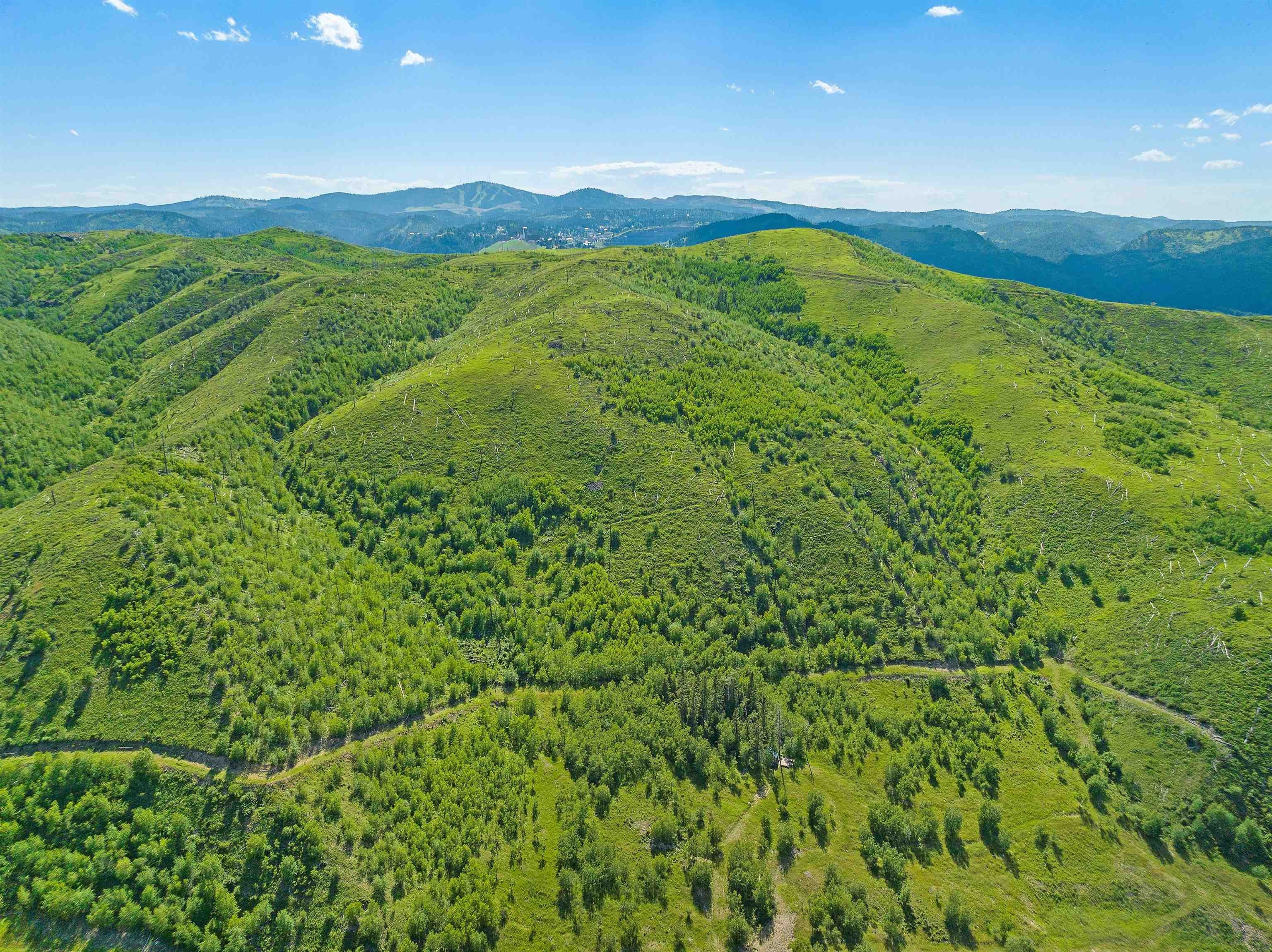 Deadwood, Lawrence County, SD Undeveloped Land for sale Property ID