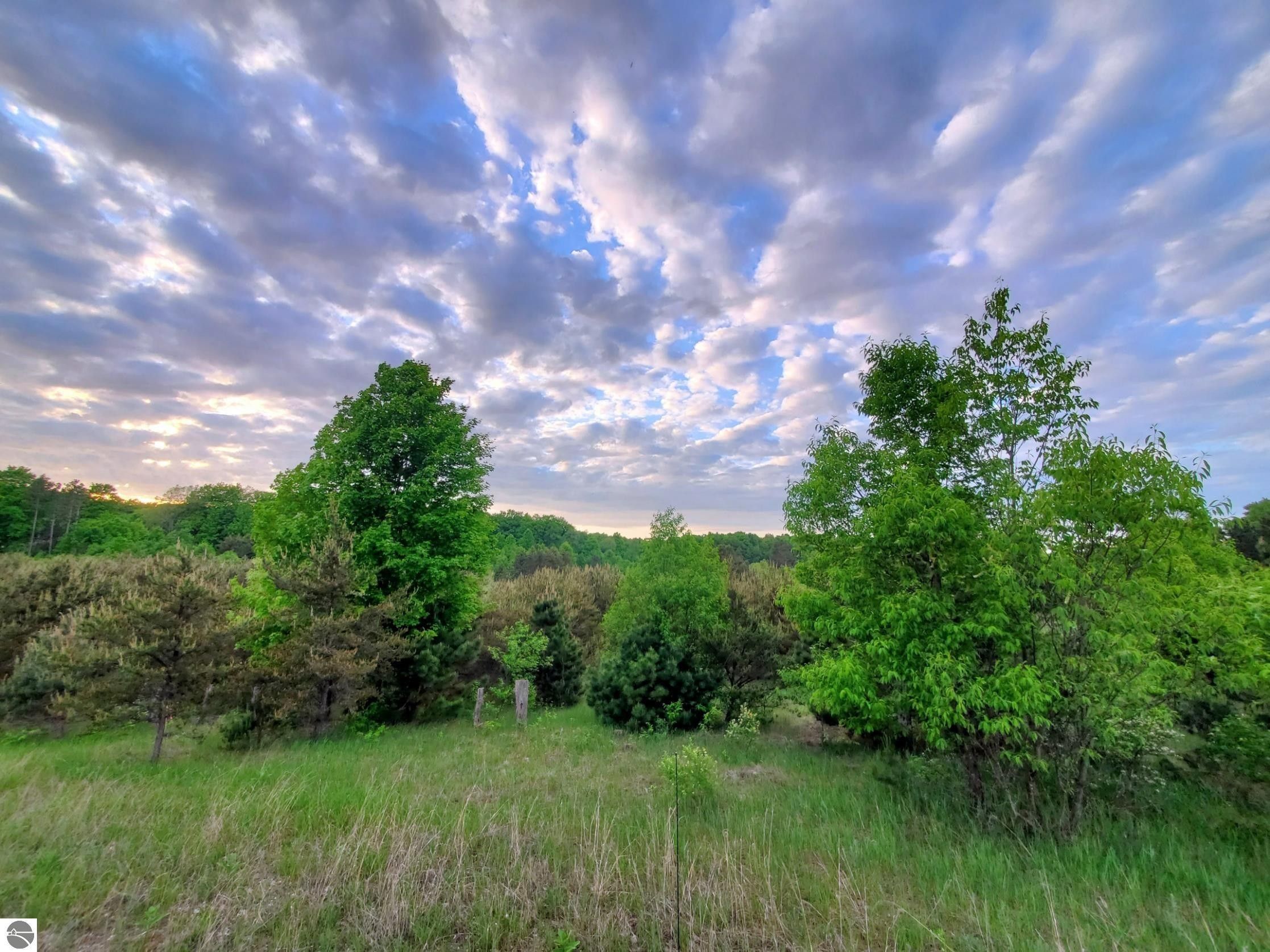 Mesick, Wexford County, MI Undeveloped Land, Lakefront Property