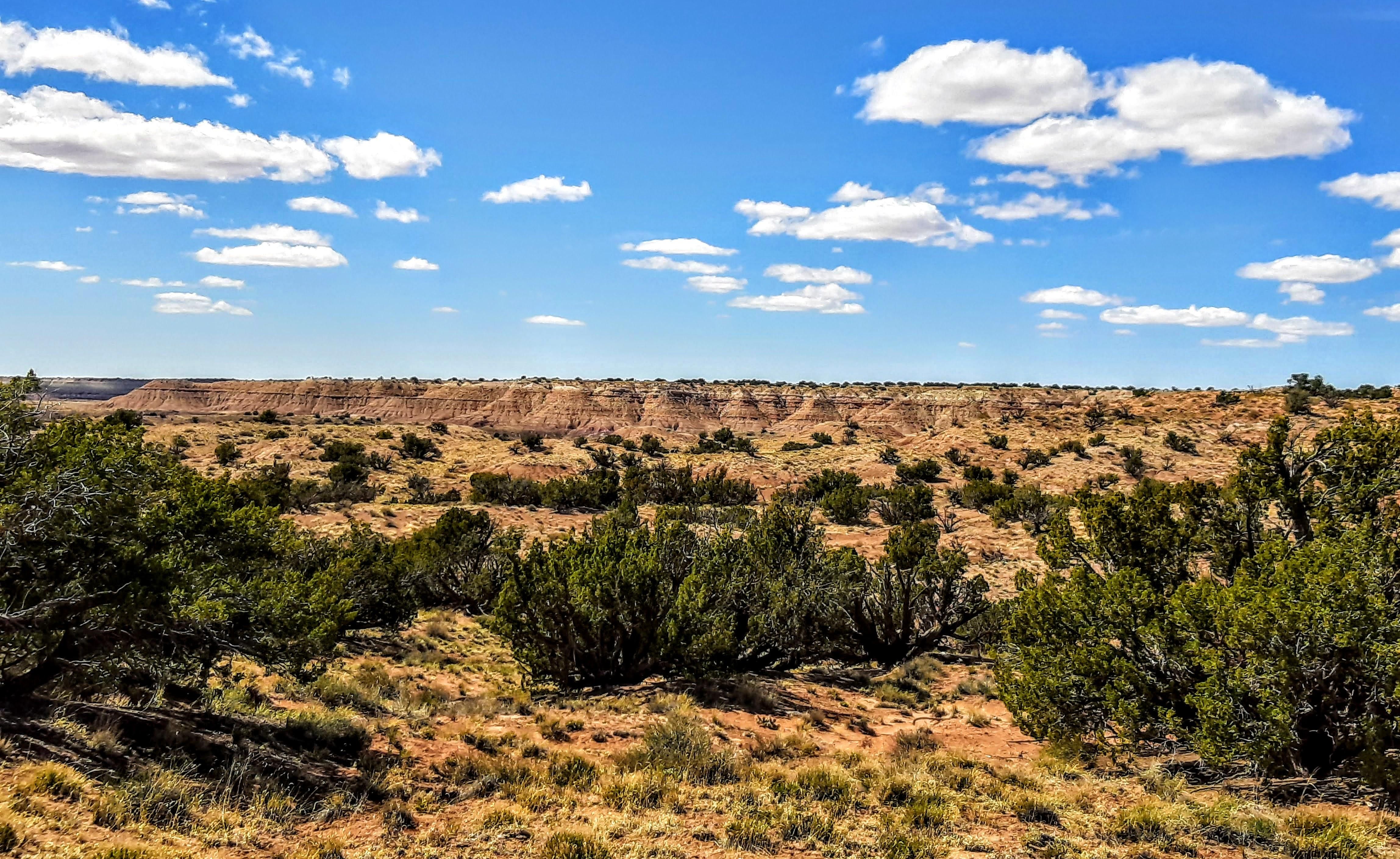 Chambers, Apache County, AZ Recreational Property, Undeveloped Land for