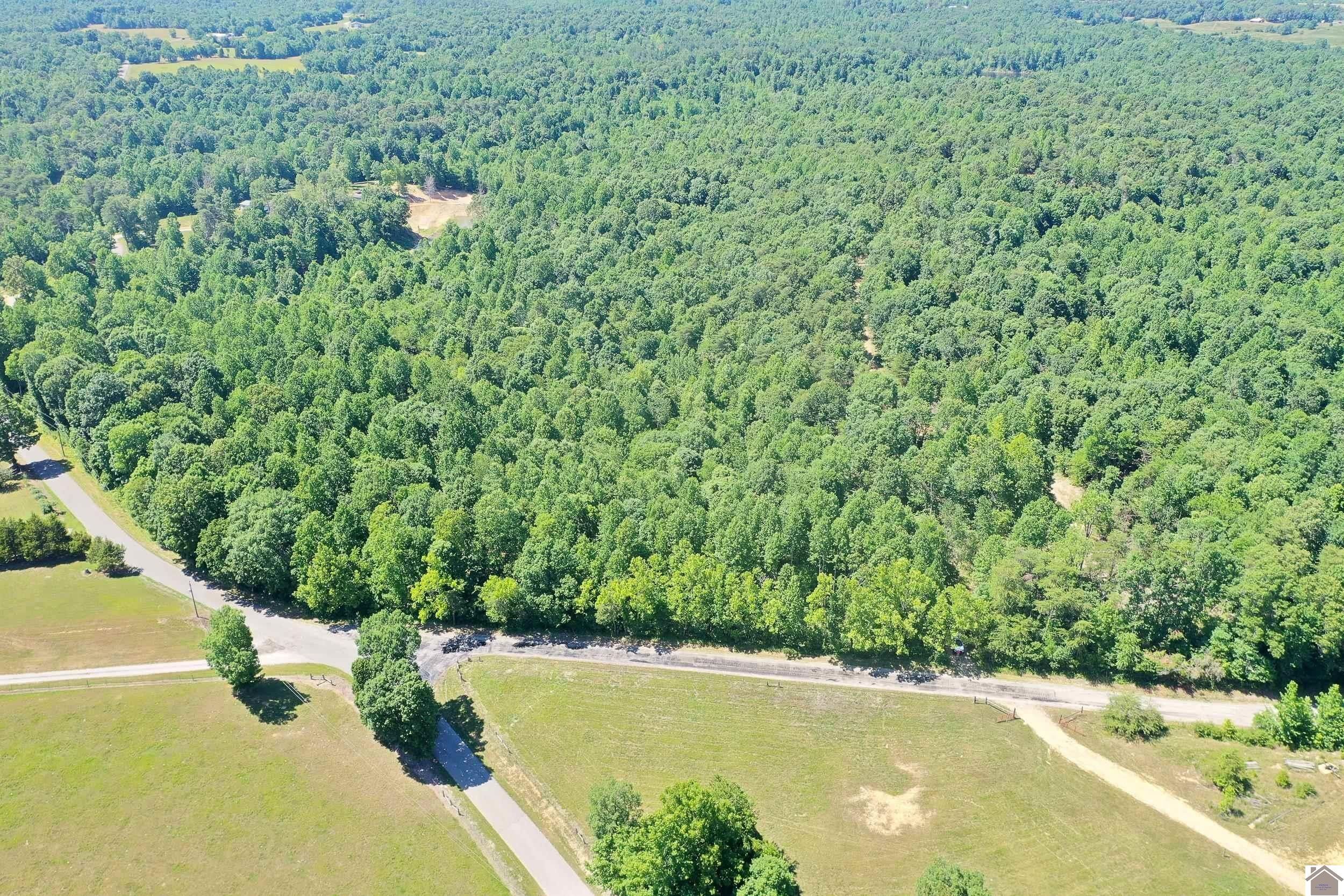 Dawson Springs, Hopkins County, KY Farms and Ranches for sale Property