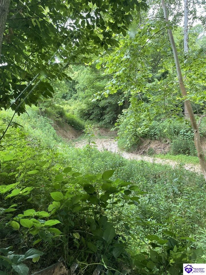 Payneville, Meade County, KY Undeveloped Land, Lakefront Property, Waterfront Property for sale