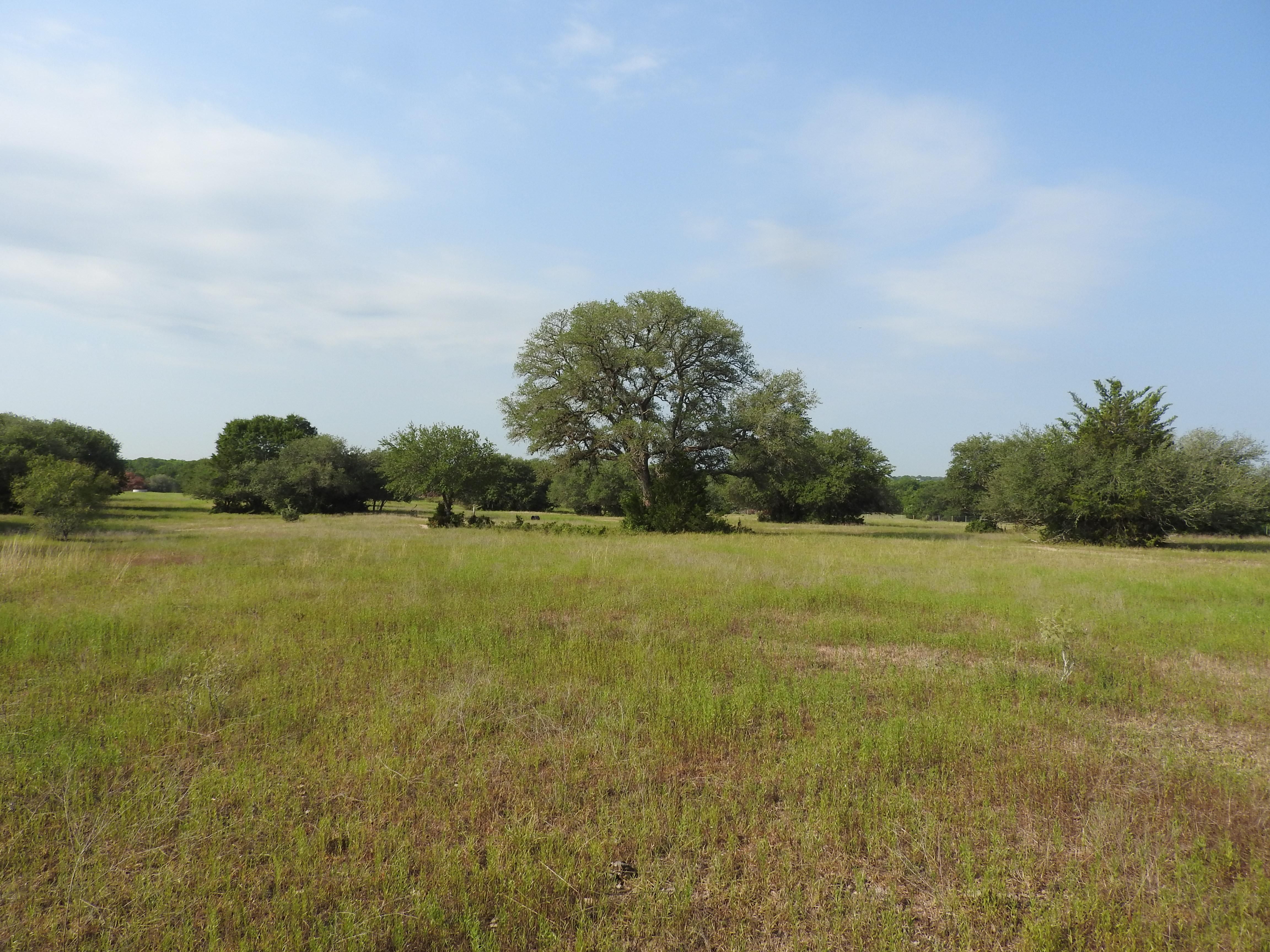 Schulenburg, Lavaca County, TX Farms and Ranches, Recreational Property