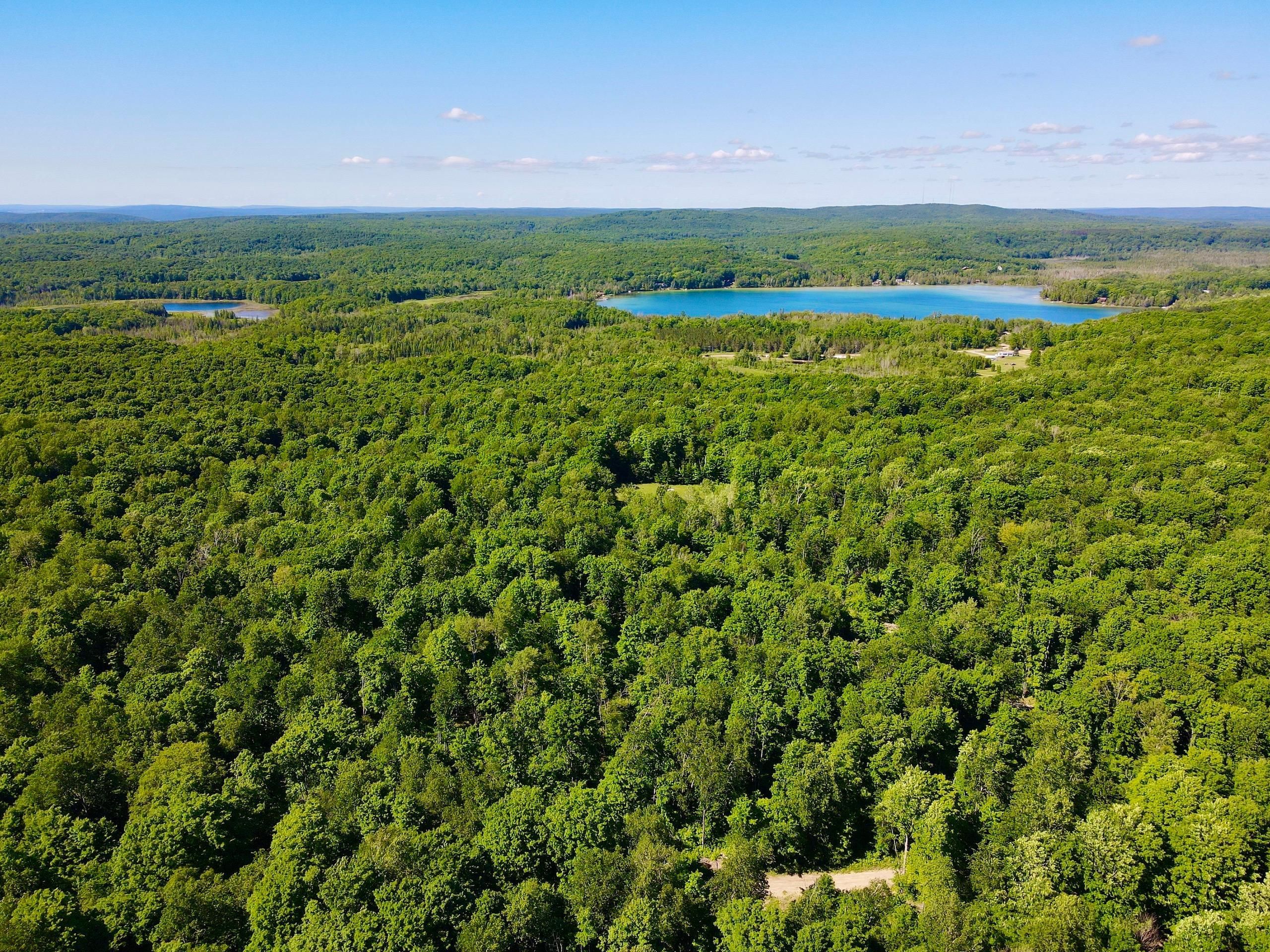 Vanderbilt, Charlevoix County, MI Farms and Ranches, Hunting Property