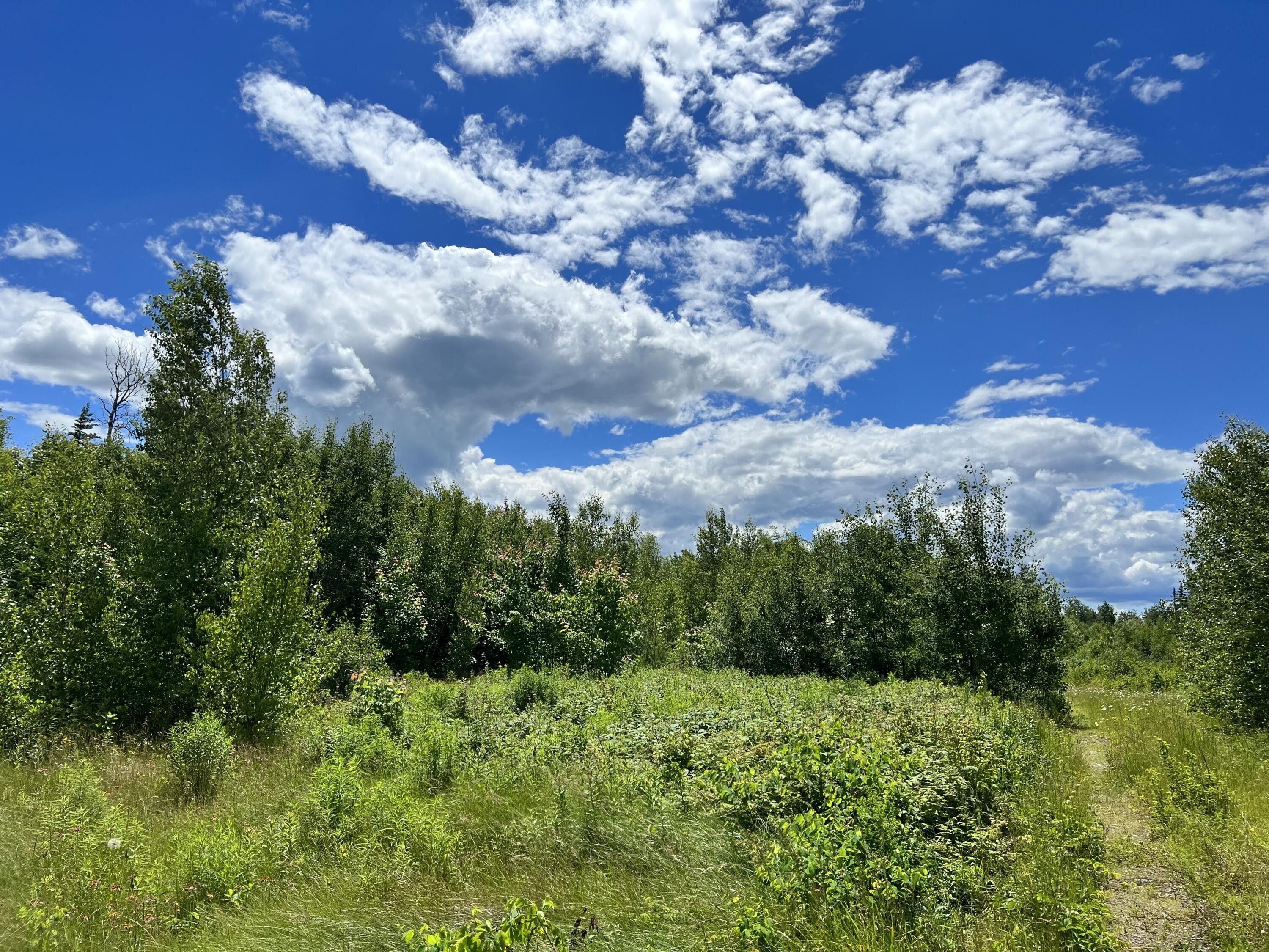 Waite, Washington County, ME Undeveloped Land for sale Property ID