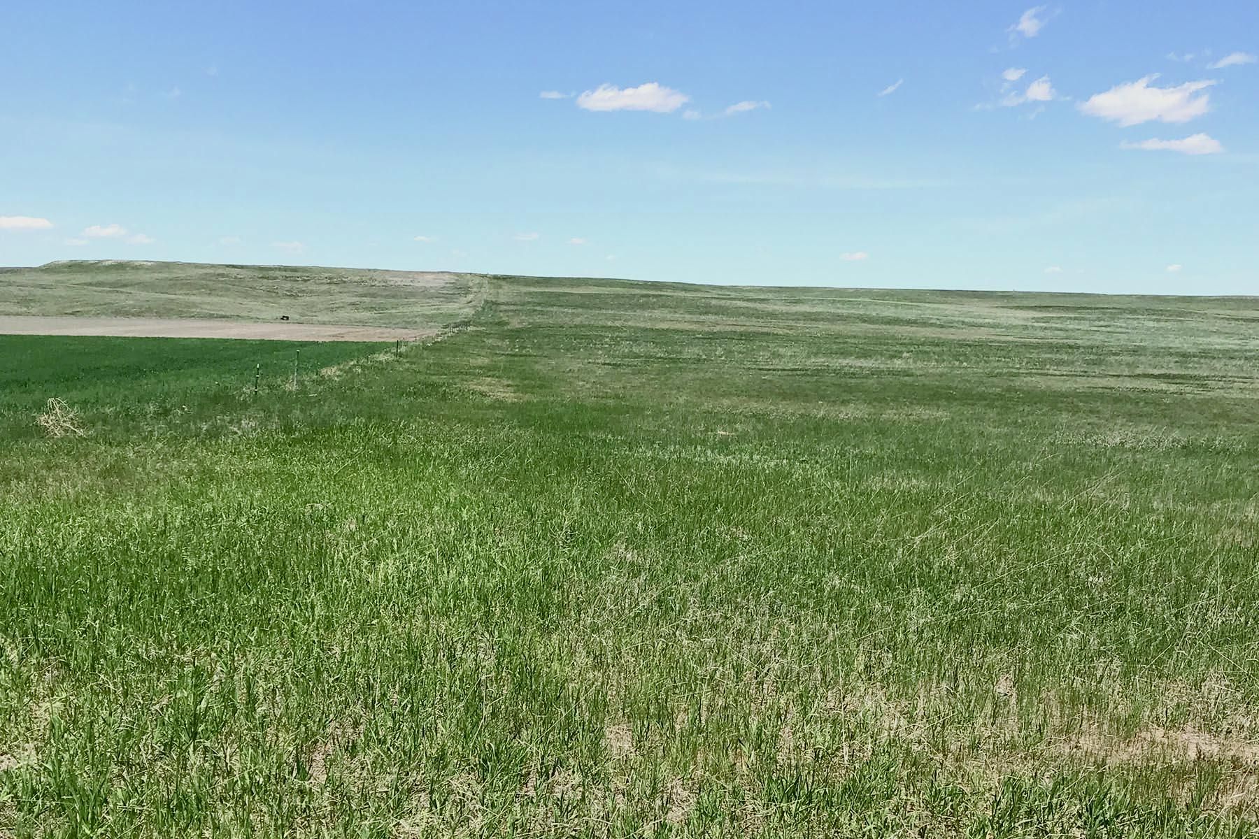 Kimball, Kimball County, NE Farms and Ranches for sale Property ID