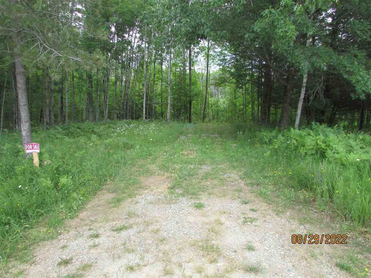 Gladwin, Gladwin County, MI Undeveloped Land, Lakefront Property
