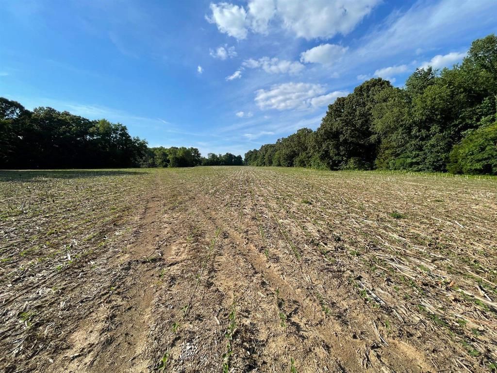 Whiteville, Fayette County, TN Farms and Ranches, Hunting Property for