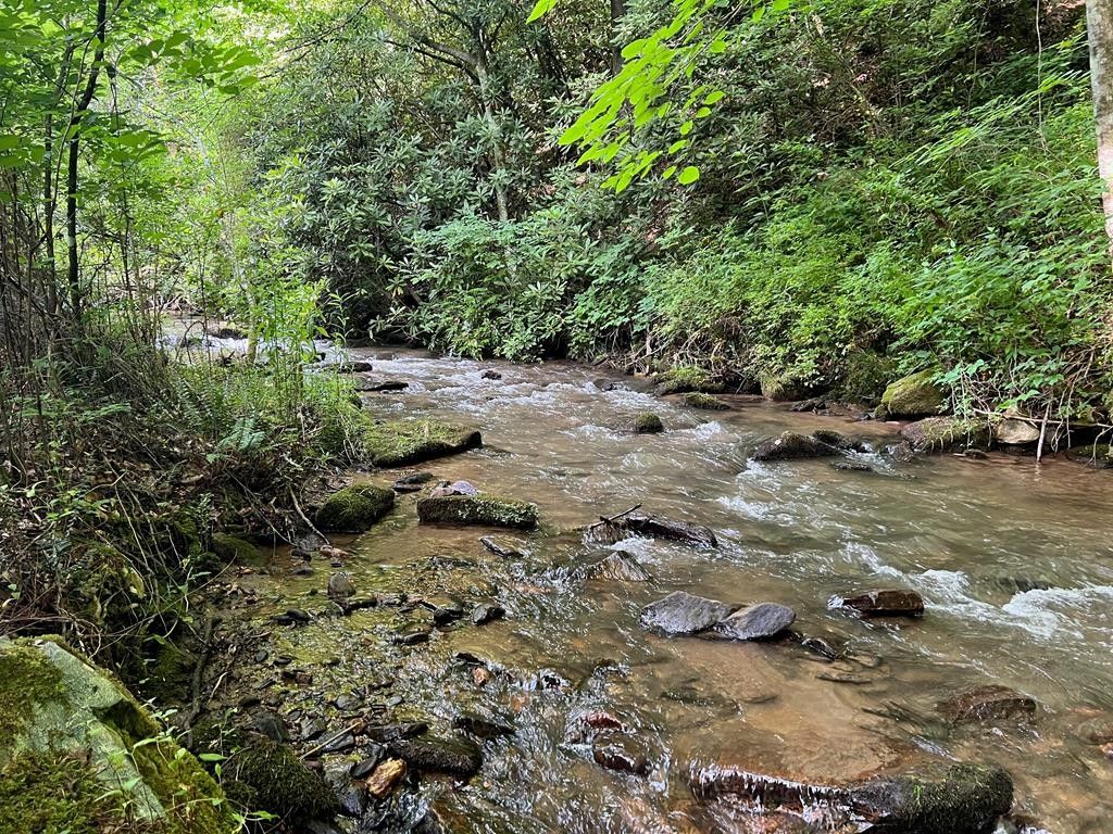 Sylva, Jackson County, NC Undeveloped Land, Lakefront Property