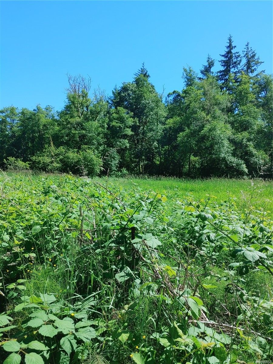 50720 Hornbeck Ln, Concrete, WA 98237 MLS 2009781 LandWatch