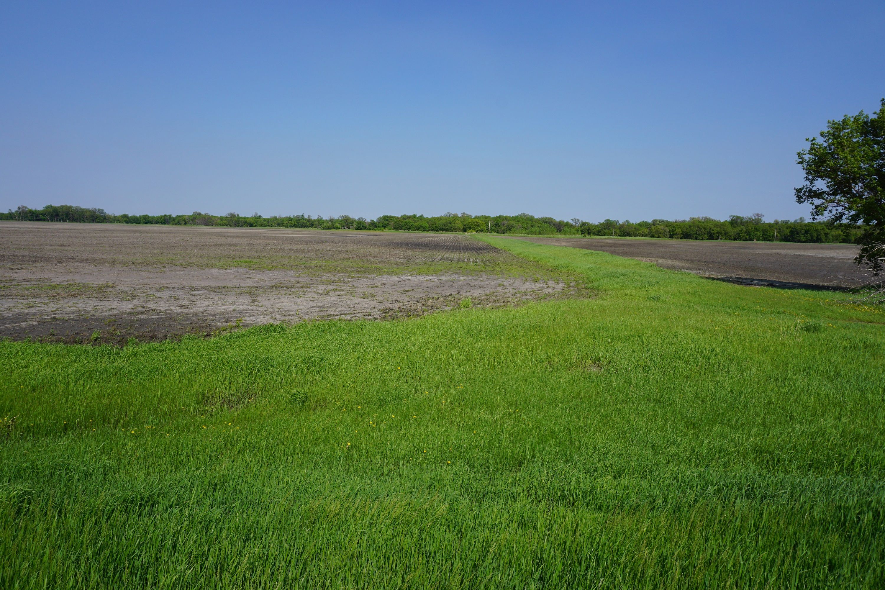 Argyle, Marshall County, MN Undeveloped Land for sale Property ID