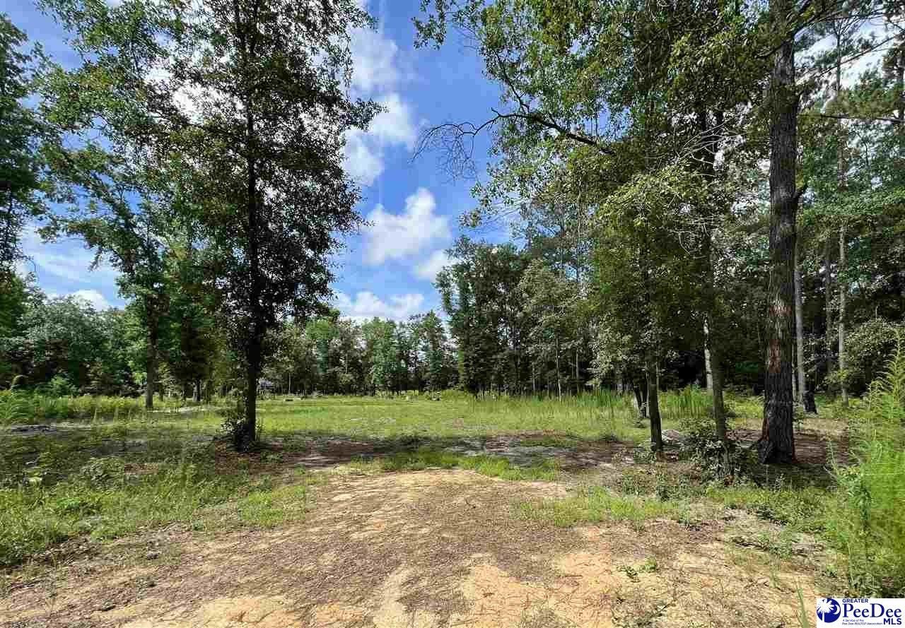 Dillon, Dillon County, SC Undeveloped Land, Homesites for sale Property