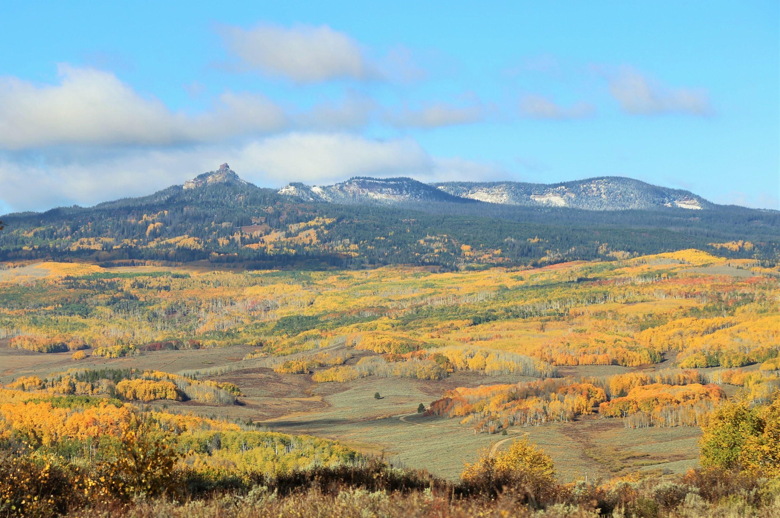 TBD, Walden, CO 80430 LandWatch