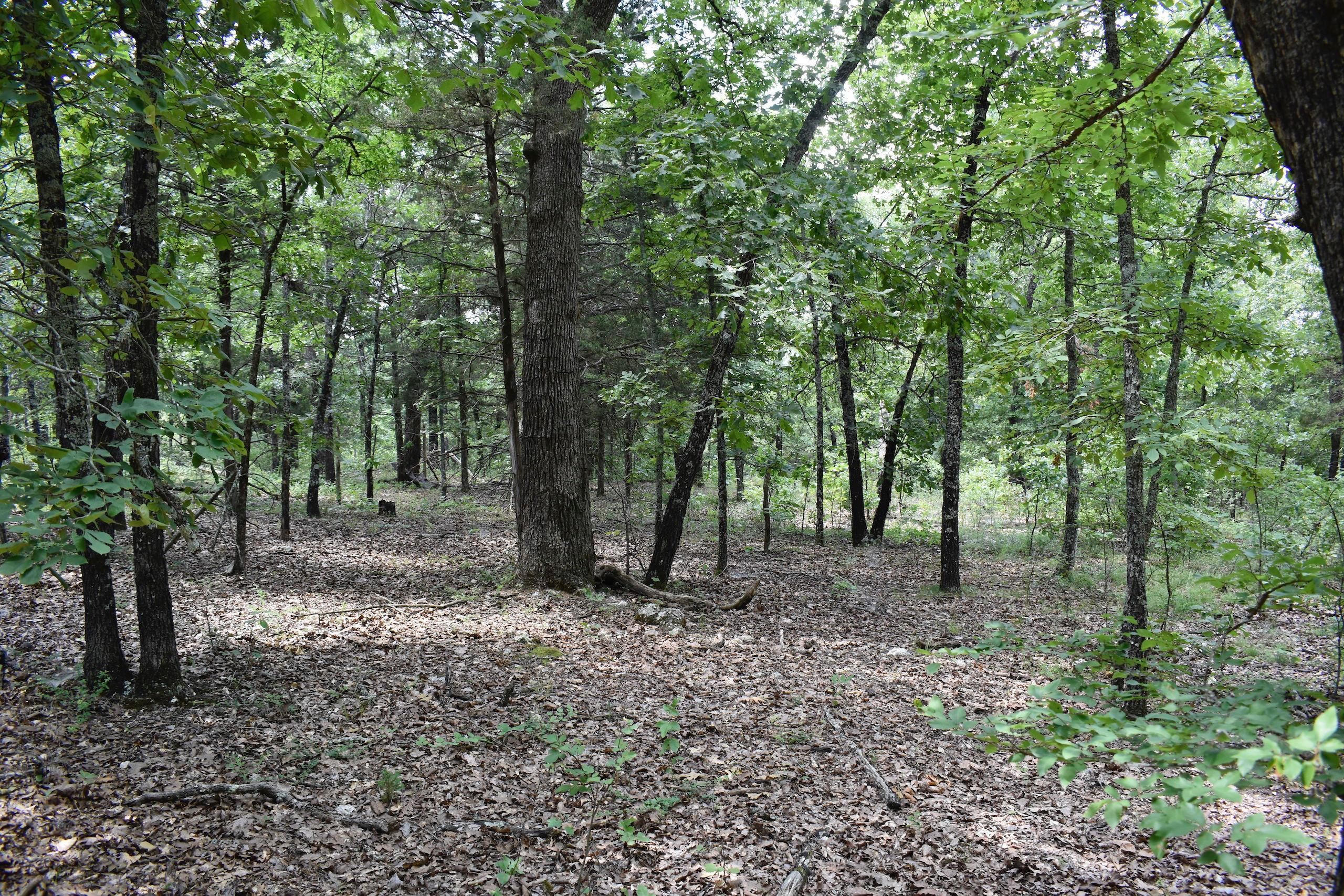Protem, Taney County, MO Recreational Property, Timberland Property