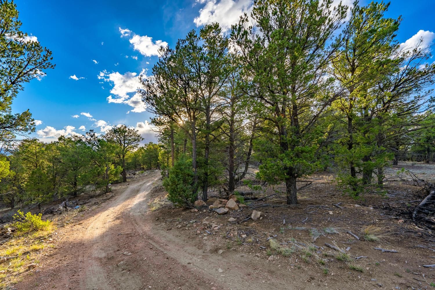 Cotopaxi, Fremont County, CO Recreational Property, Undeveloped Land