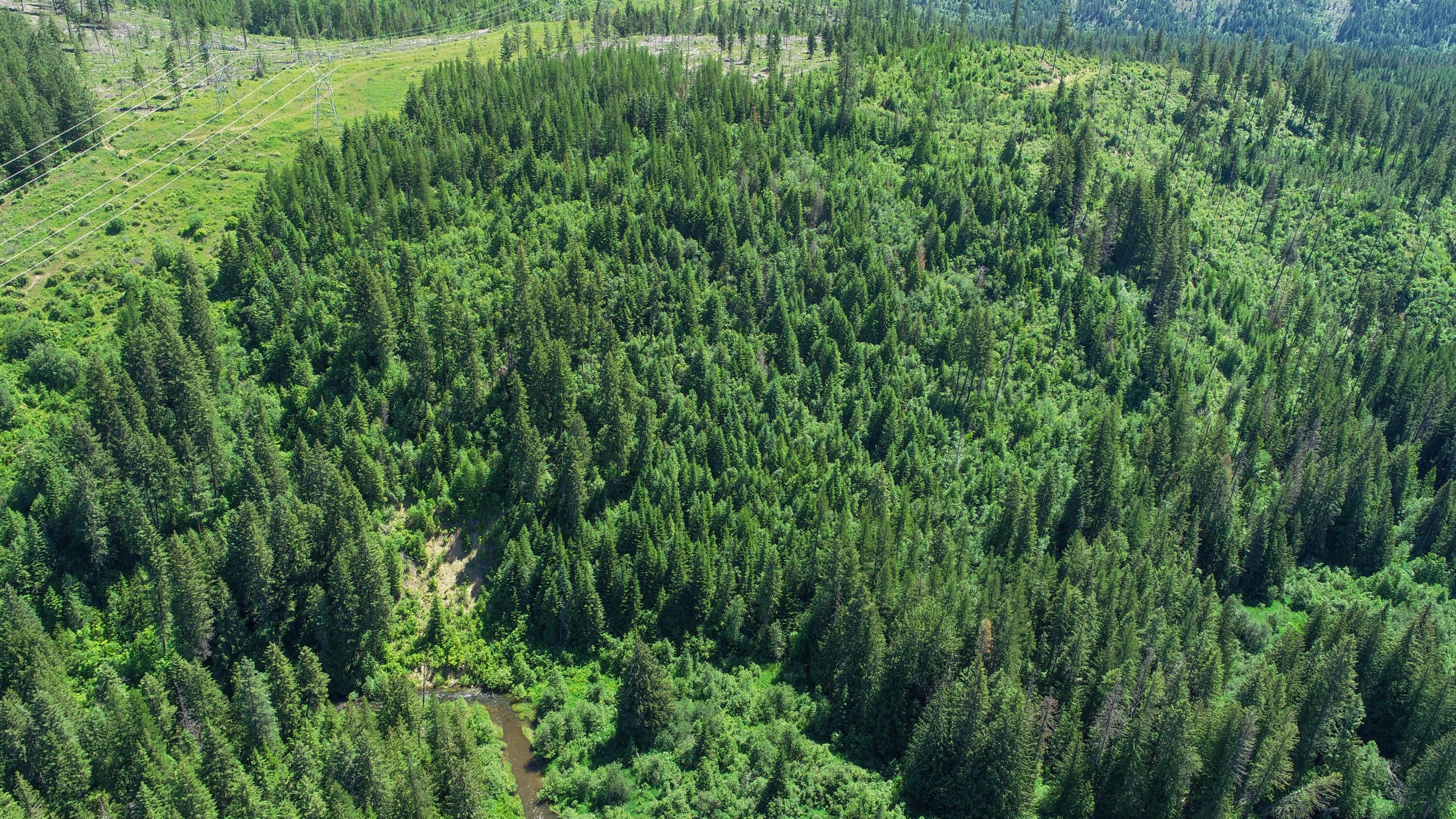 Usk, Pend Oreille County, WA Undeveloped Land for sale Property ID 414101921 LandWatch